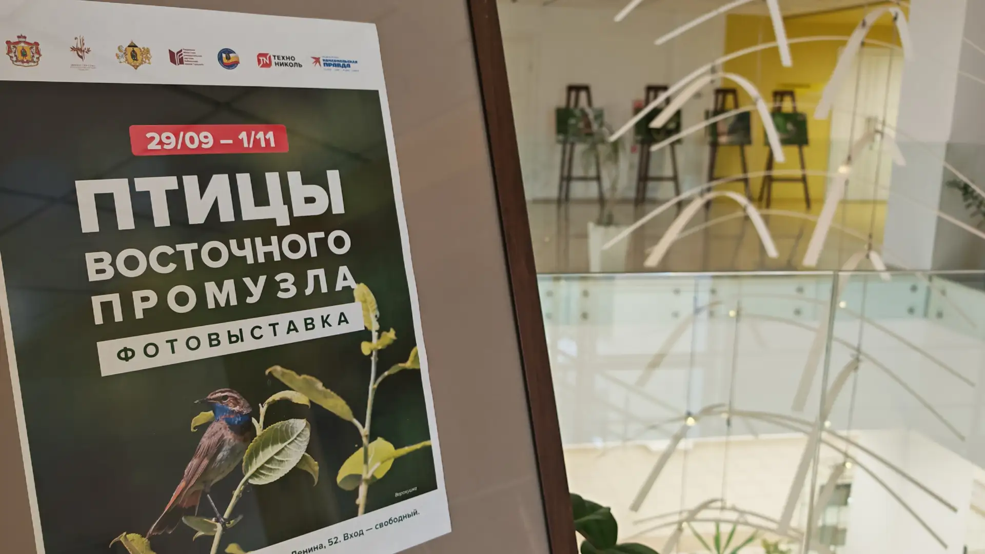 📸 ФОТОВЫСТАВКА «ПТИЦЫ ВОСТОЧНОГО ПРОМУЗЛА»