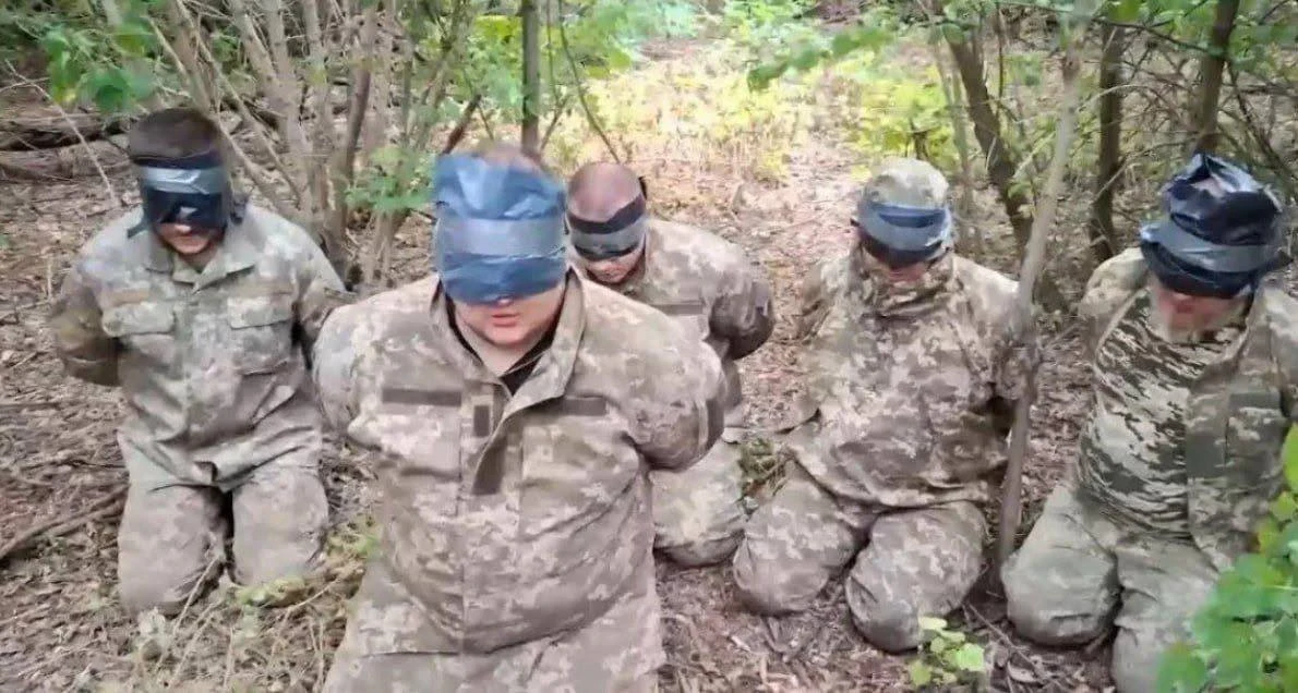 🟢 Откуда они у вас такие пузатые?