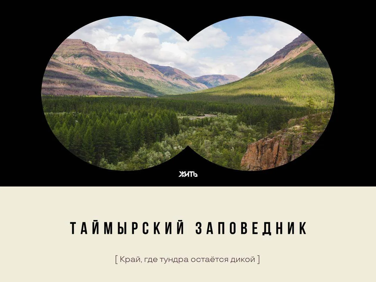 Таймырский заповедник — одно из тех мест, о которых сложно говорить привычными масштаба...