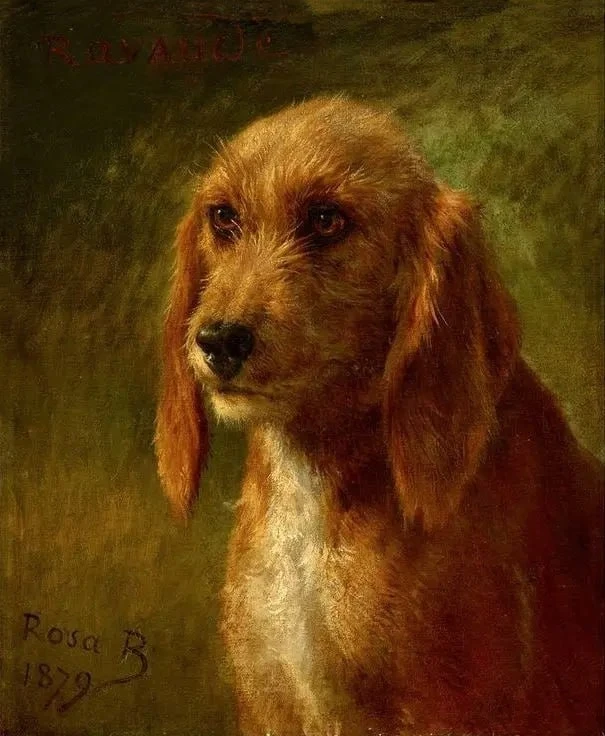 "Терьер", 1879 г.