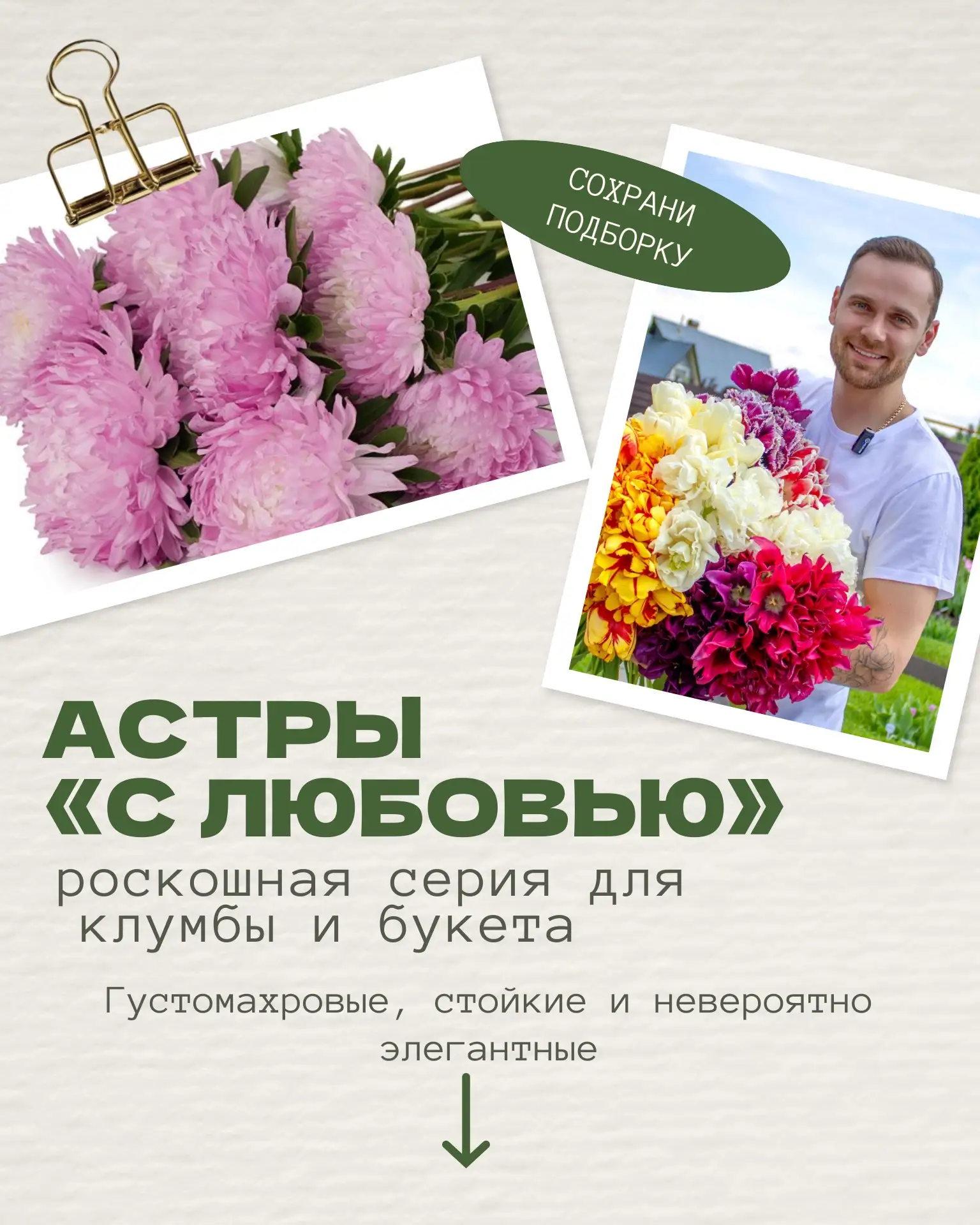 🌸 ЭТИ АСТРЫ ВЫГЛЯДЯТ КАК ГОТОВЫЙ БУКЕТ!