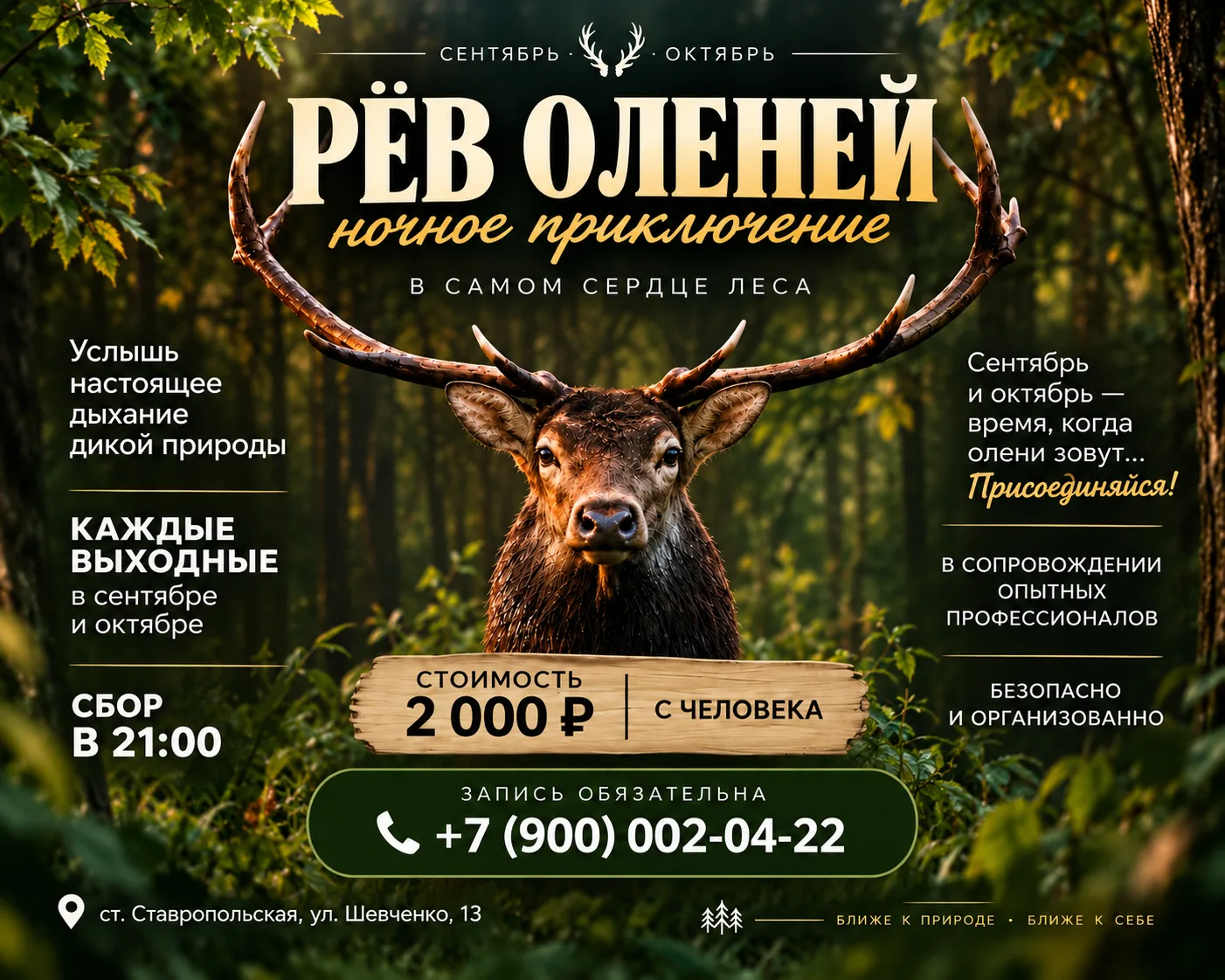 Друзья октябрь - то самое время, когда ночной лес звучит совсем иначе. 🦌🌲