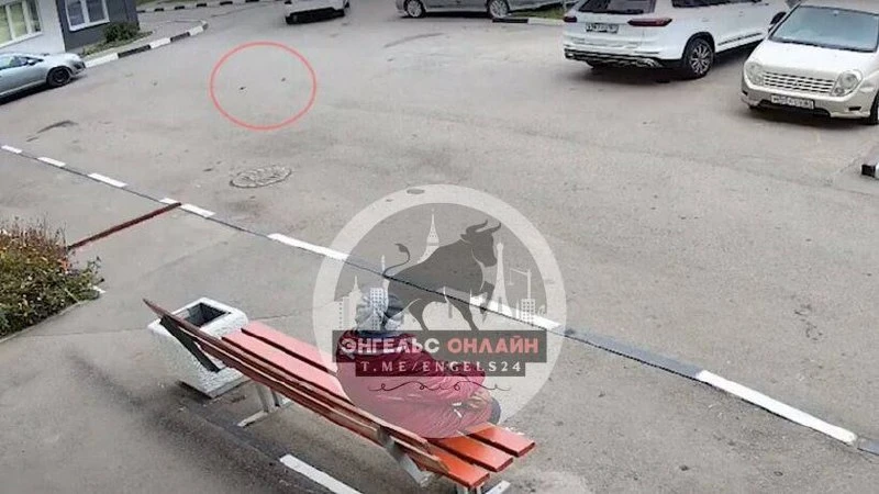 В Энгельсе возбудили дело после гибели котят