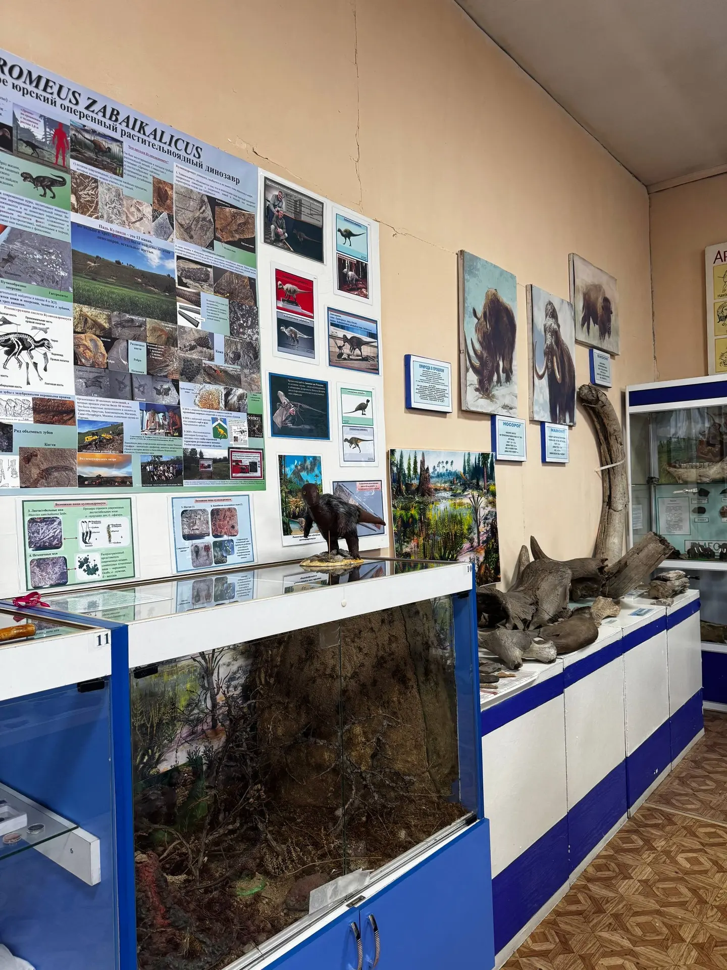 В Чернышевске мы посетили районный краеведческий музей, где собрано более 6 000 экспона...
