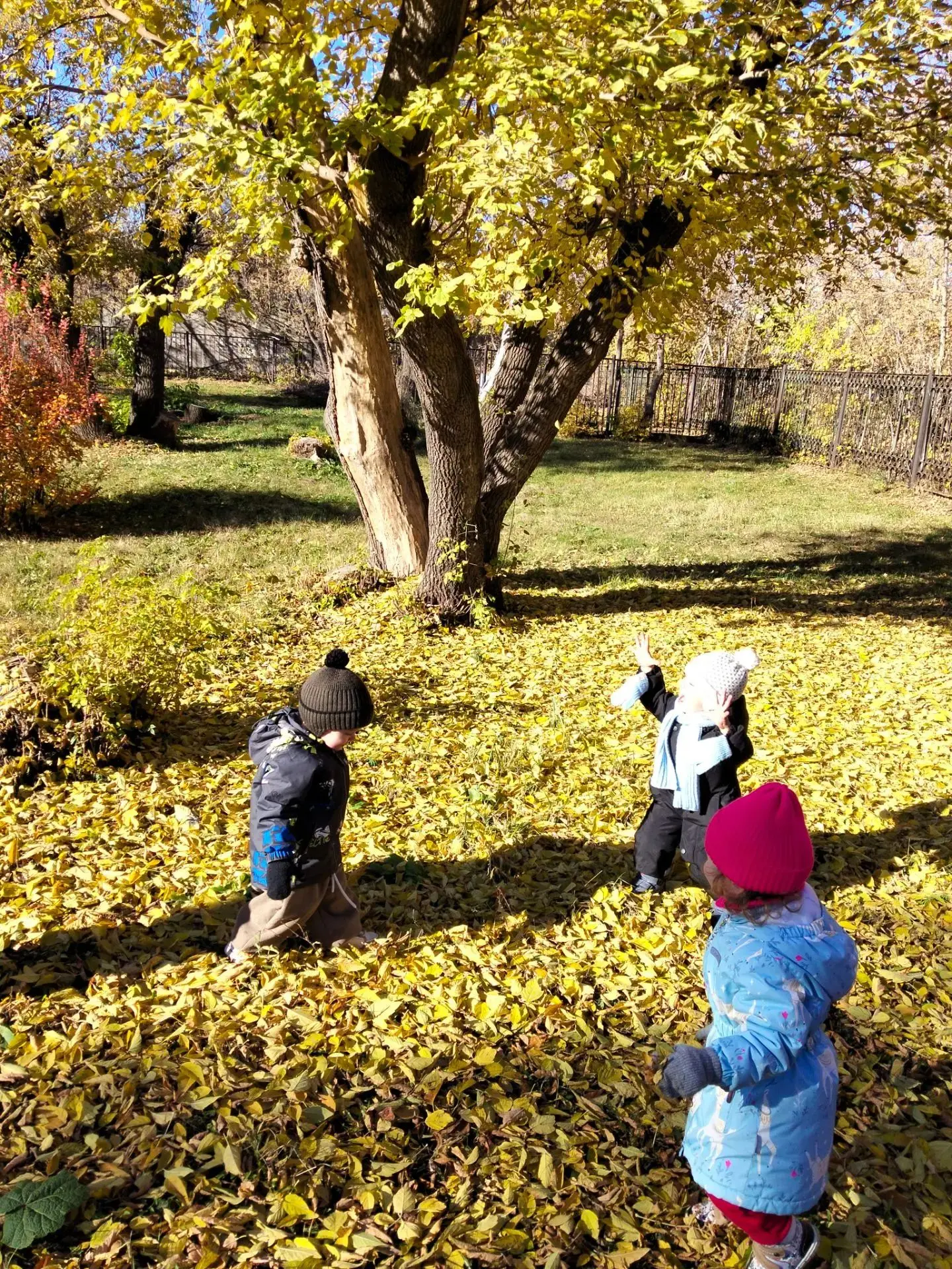Осенняя сказка в группе «Репка» 🍁✨
