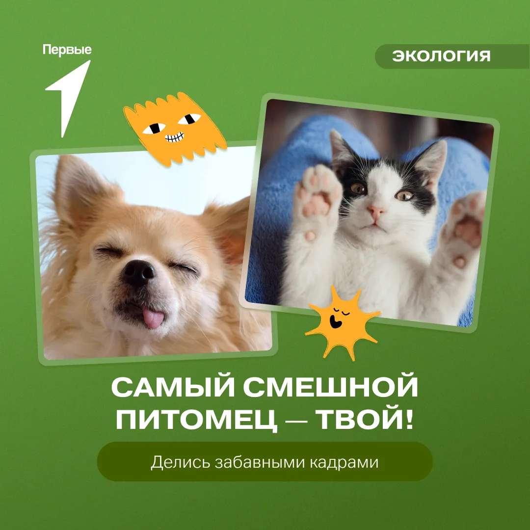 Кажется, у нас тут смешинка в пост попала 🤣