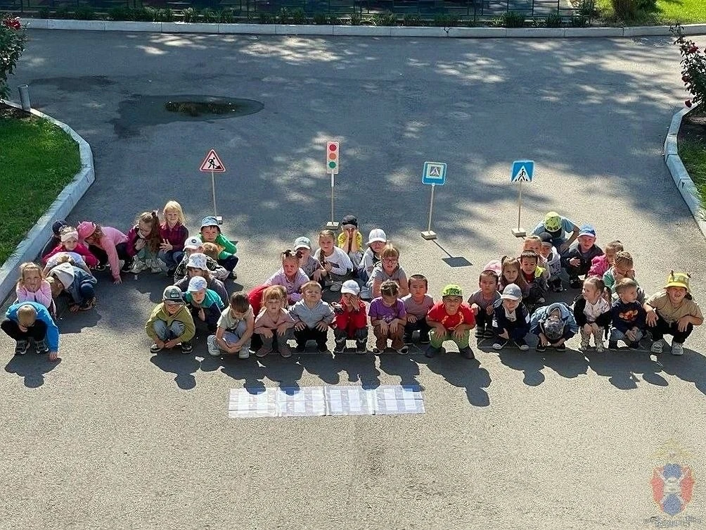 🚦 Итоги региональной акции «Дорожный патруль безопасности» в Борисоглебском районе