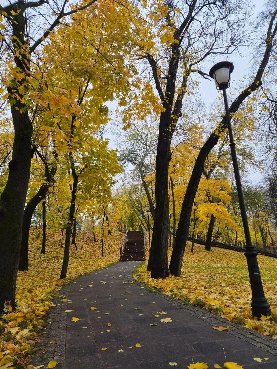 Золотая осень в городском парке🍂