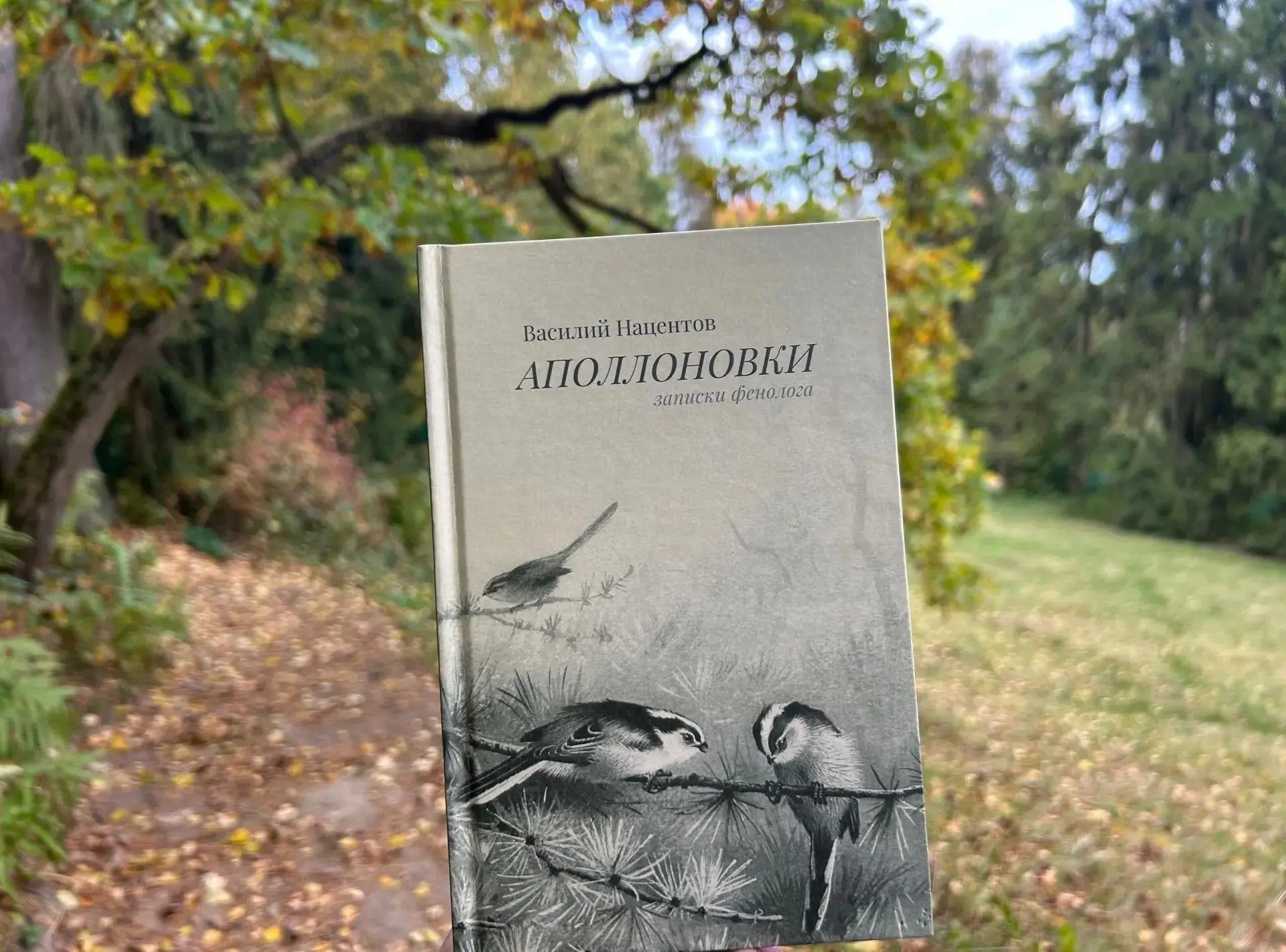 10.10.2026 г. обучающиеся объединения «Мы-актёры» и «Сценическая речь», под руководство...