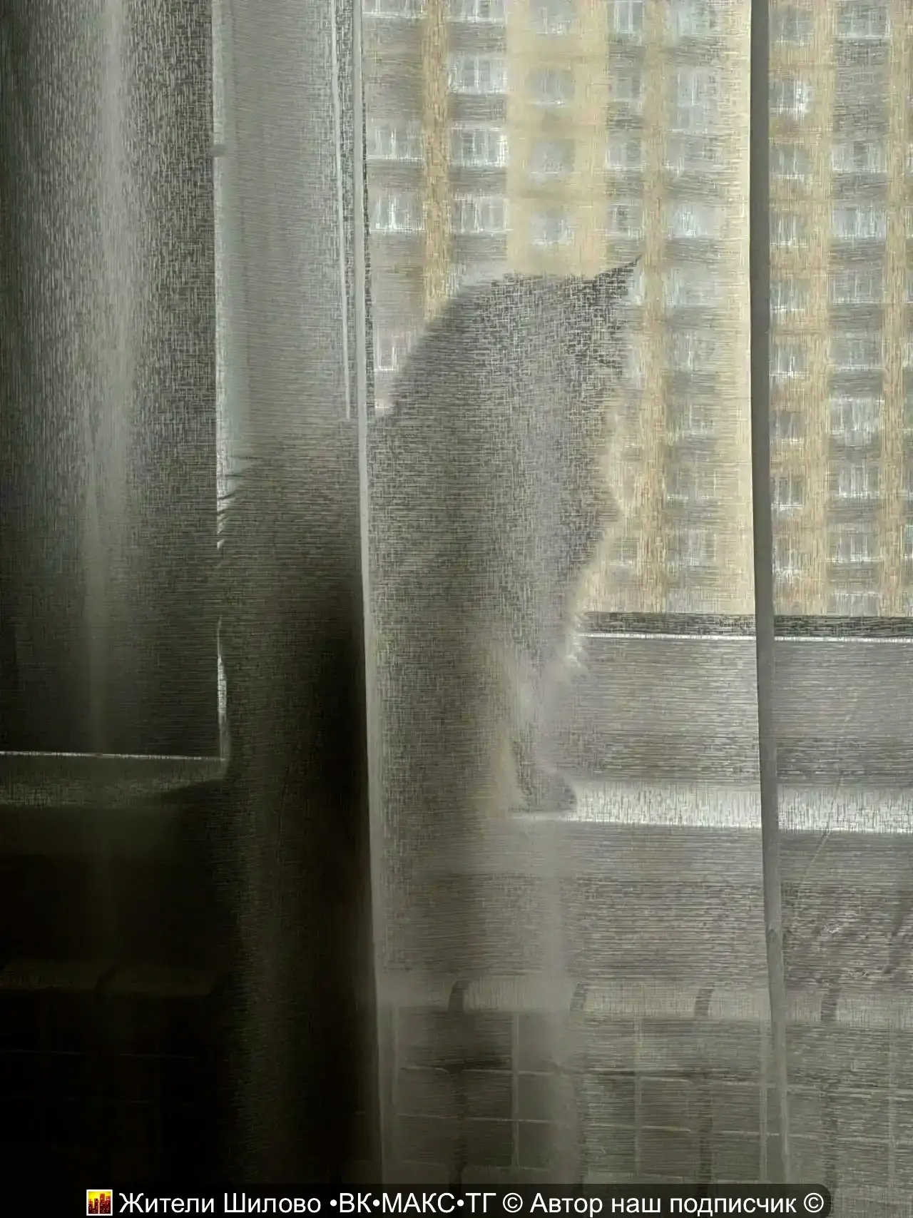 🐈Котик и дождливое субботнее утро в Шилово 🌧️
