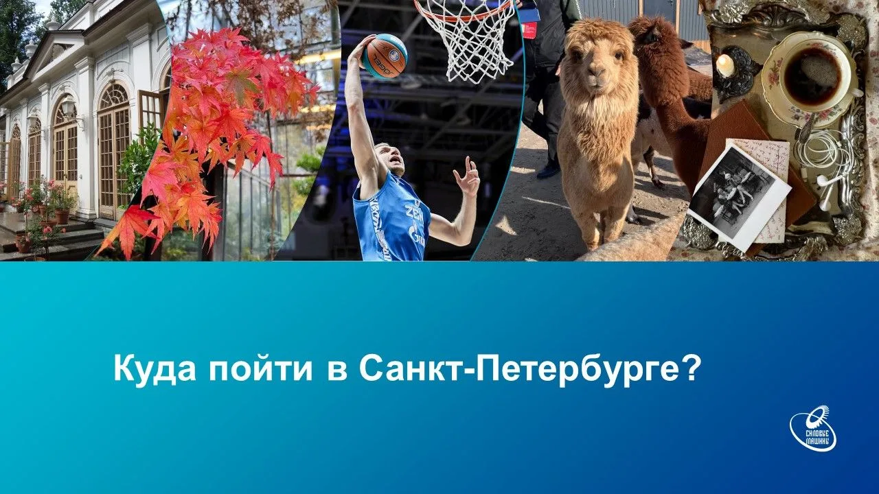 🍁В эти выходные в Петербурге есть события, ради которых стоит выбраться из дома. А еще...