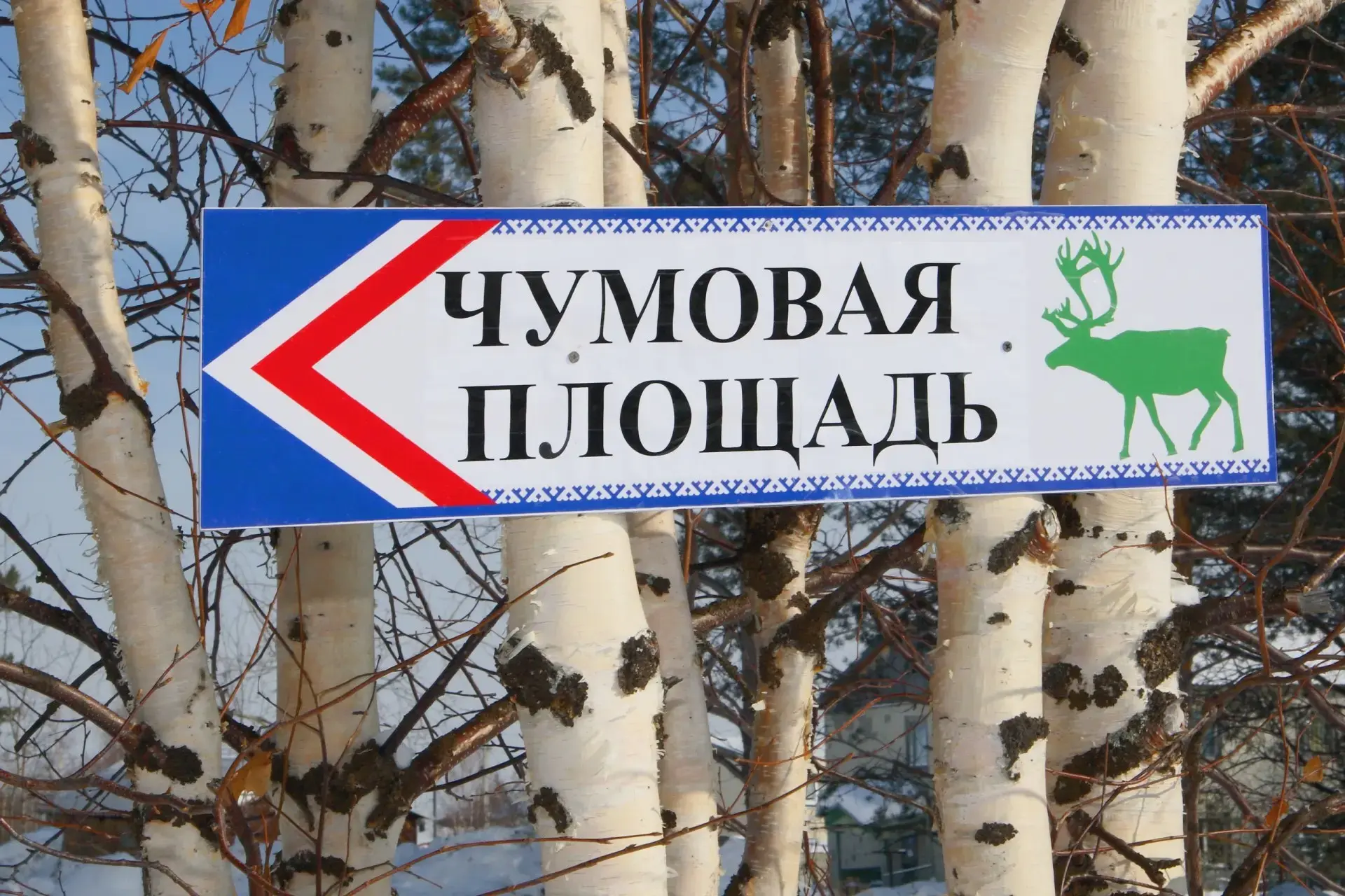 Новости Югры: кино, медведи и 4G
