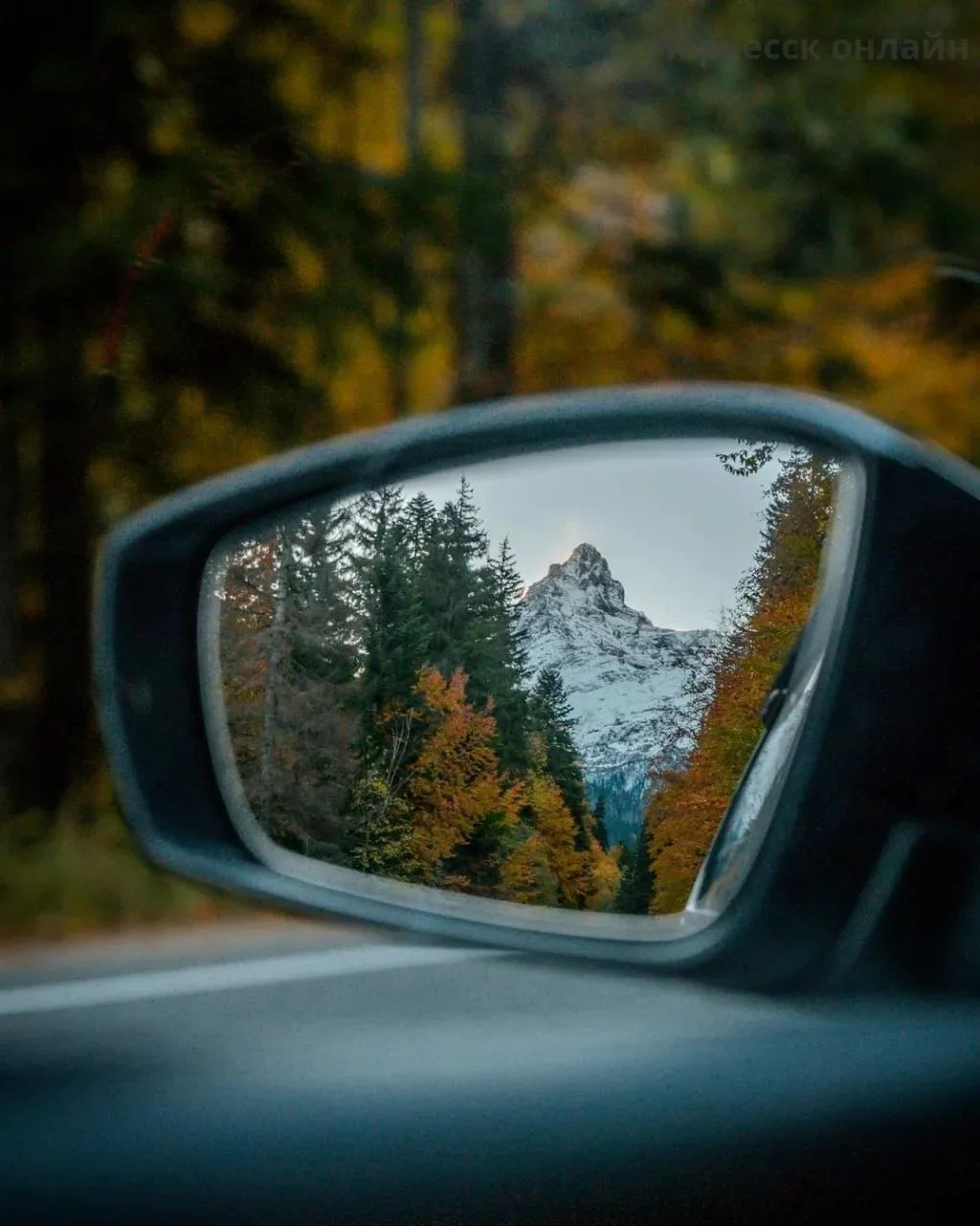 Осень в Домбае 😍 ⛰️