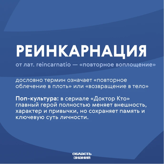 📚 Слово дня. Задумывались ли вы, почему нас так тянет к историям о перерождении? От др...