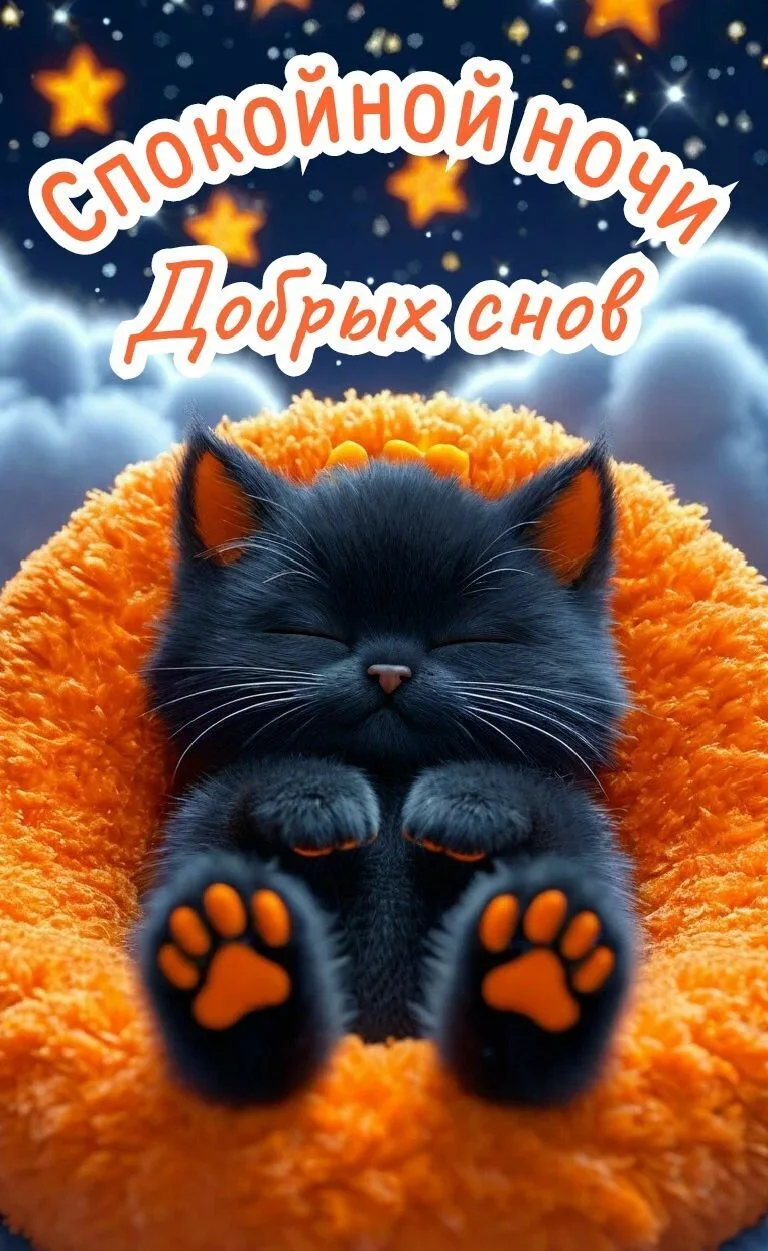 ✨СПОКОЙНОЙ НОЧИ