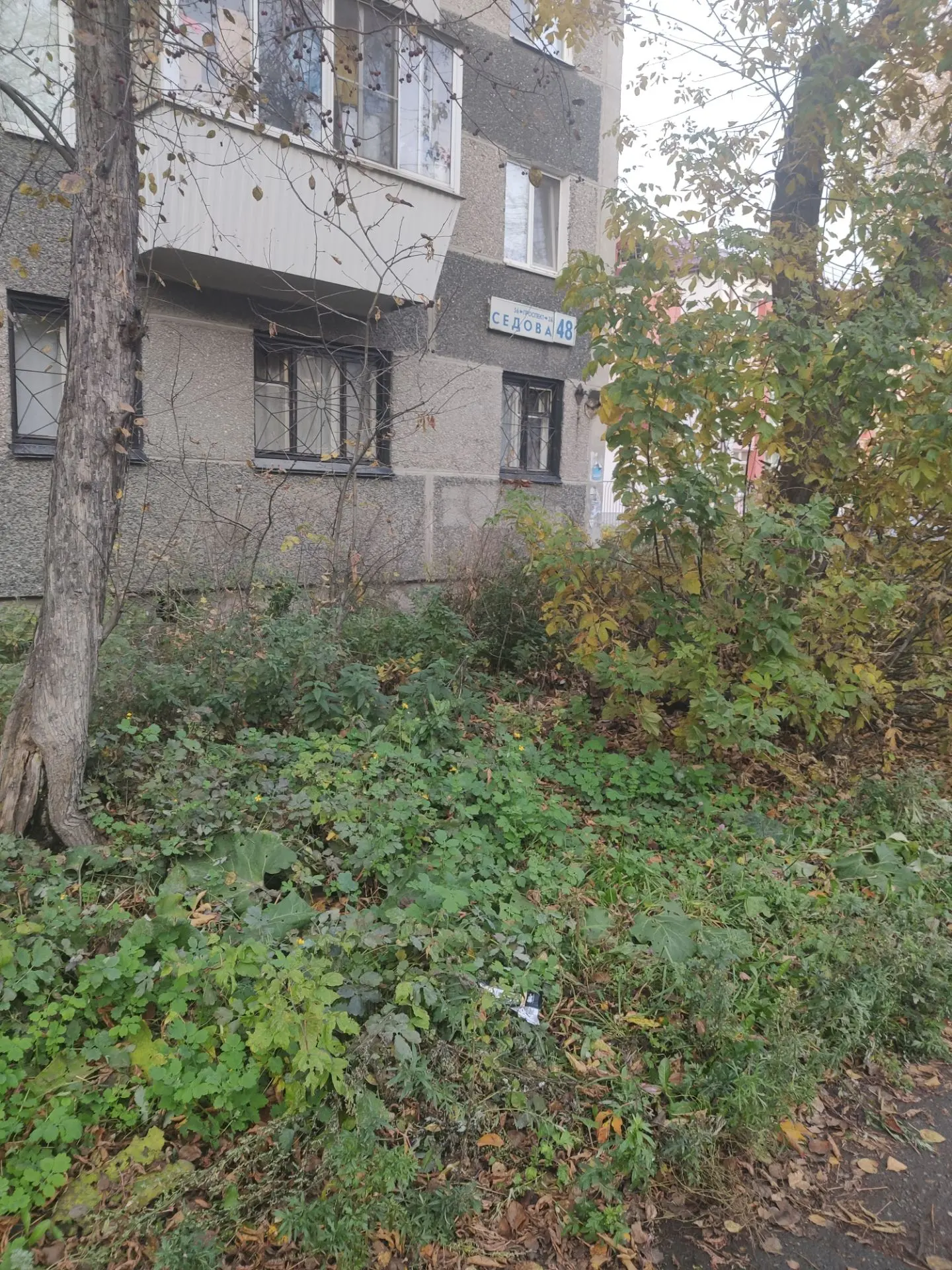 Лежит бедолага . Может кто потерял