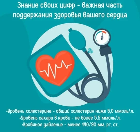 ❤️ 28 сентября – 4 октября — Неделя ответственного отношения к сердцу