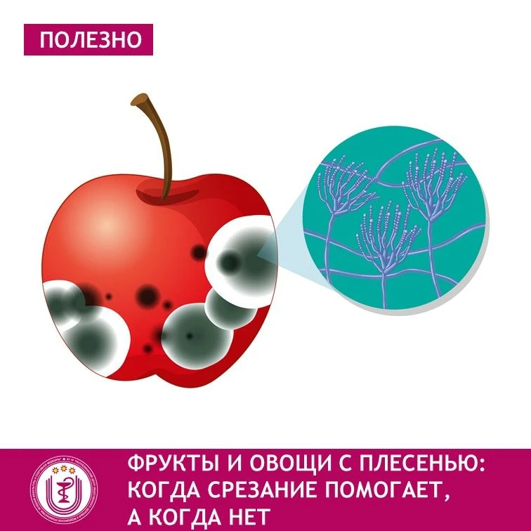 С хлебом ситуация однозначна: плесень проникает глубоко. Но с твердыми фруктами и овоща...