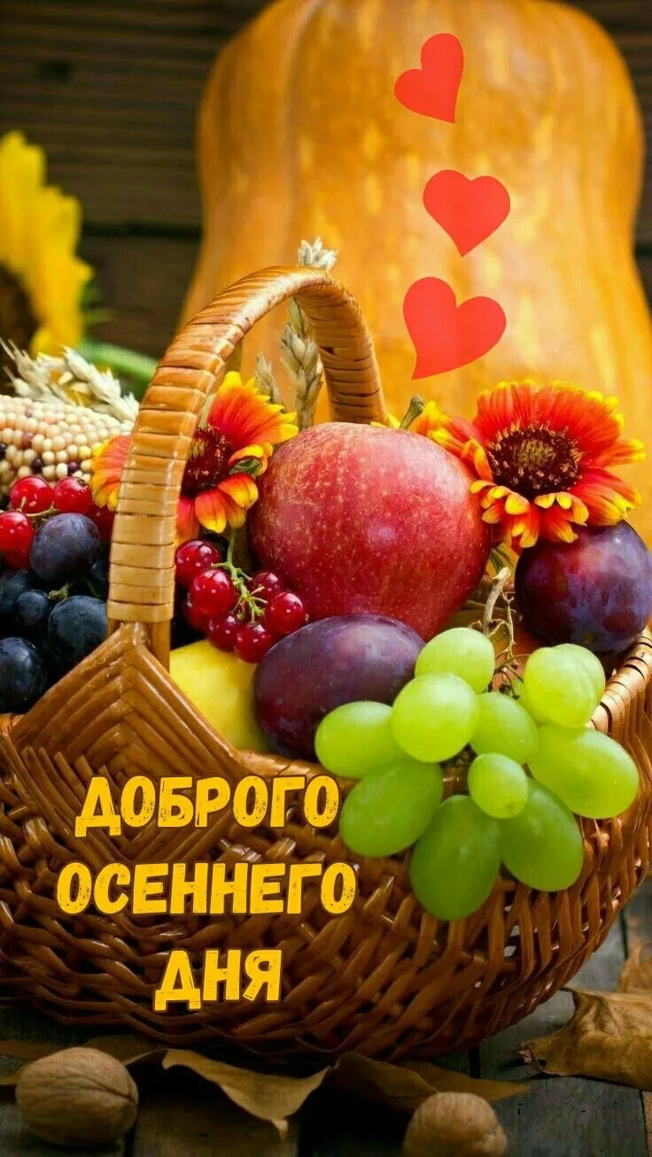 Красивые открытки❤️