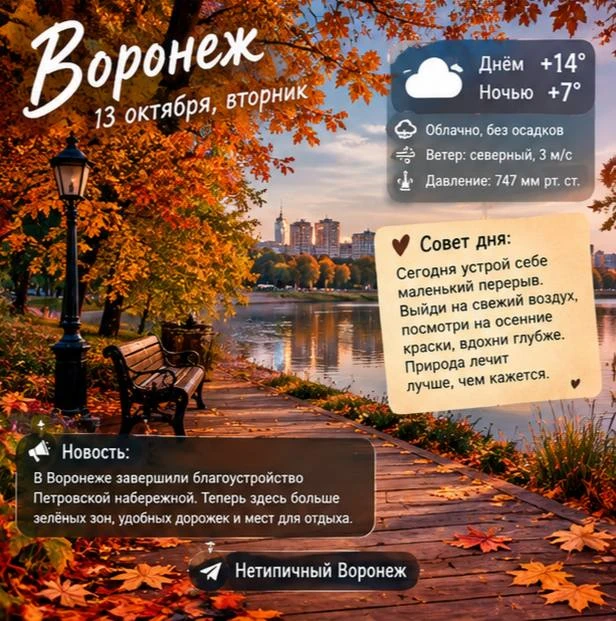 🍁 Доброе утро, Воронеж!
