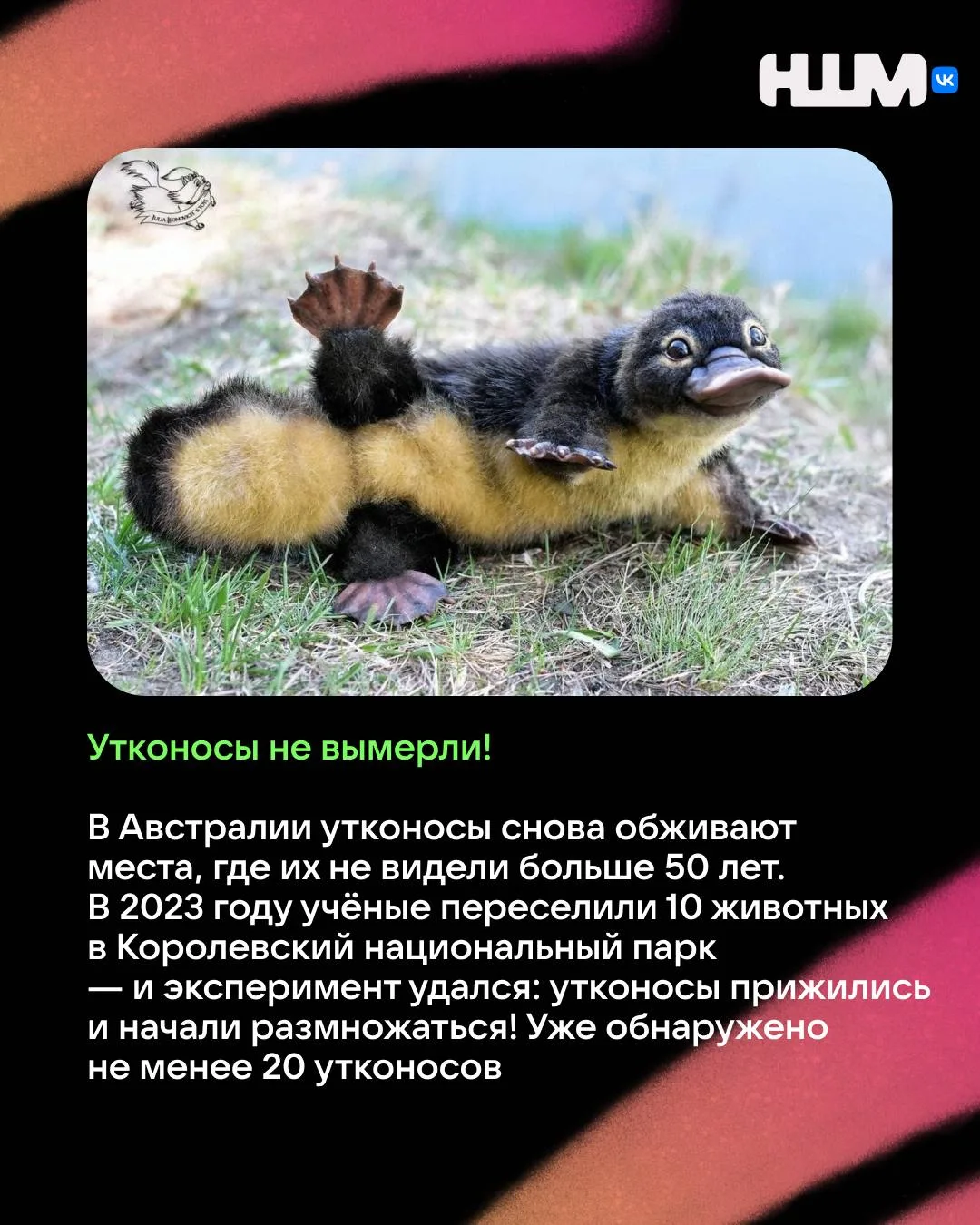 Началась наша любимая часть недели!