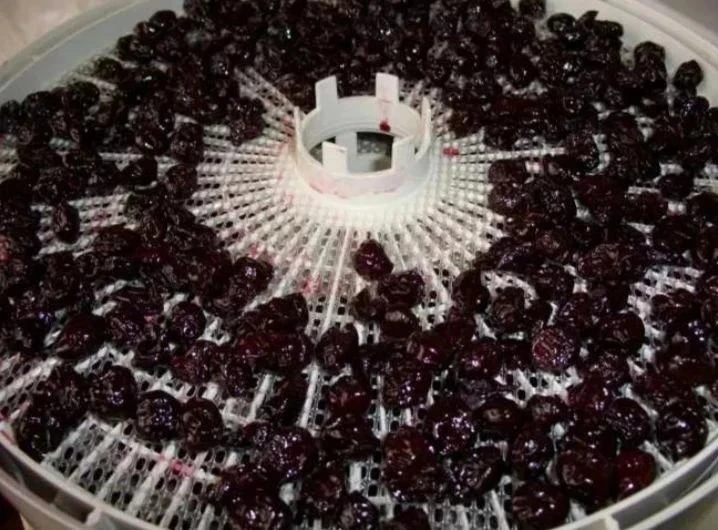 ИЗЮМ ИЗ ЧЕРНОПЛОДНОЙ РЯБИНЫ