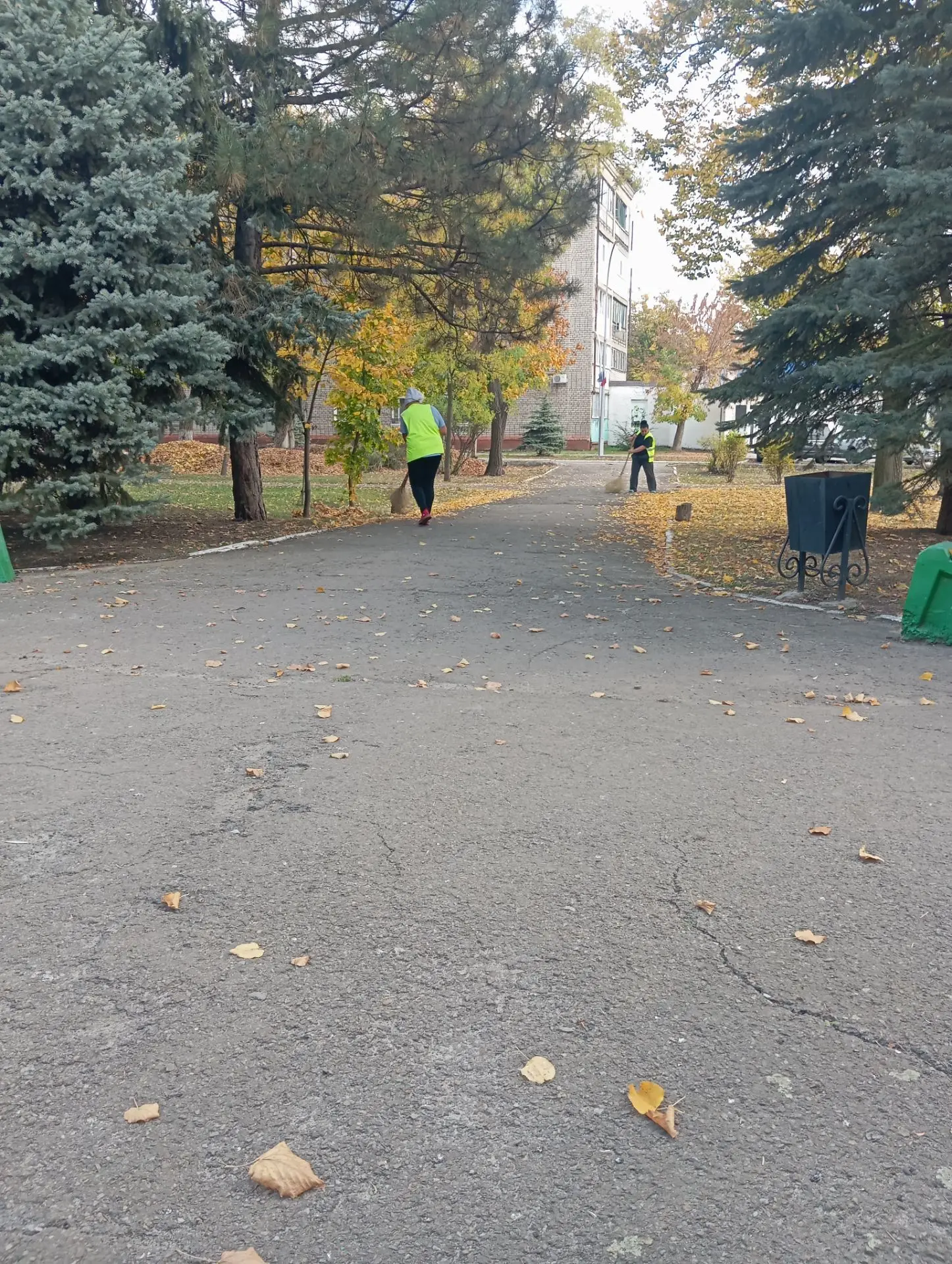 Продолжается чистка газонов, подметание дорожек от листвы в скв. Ленина