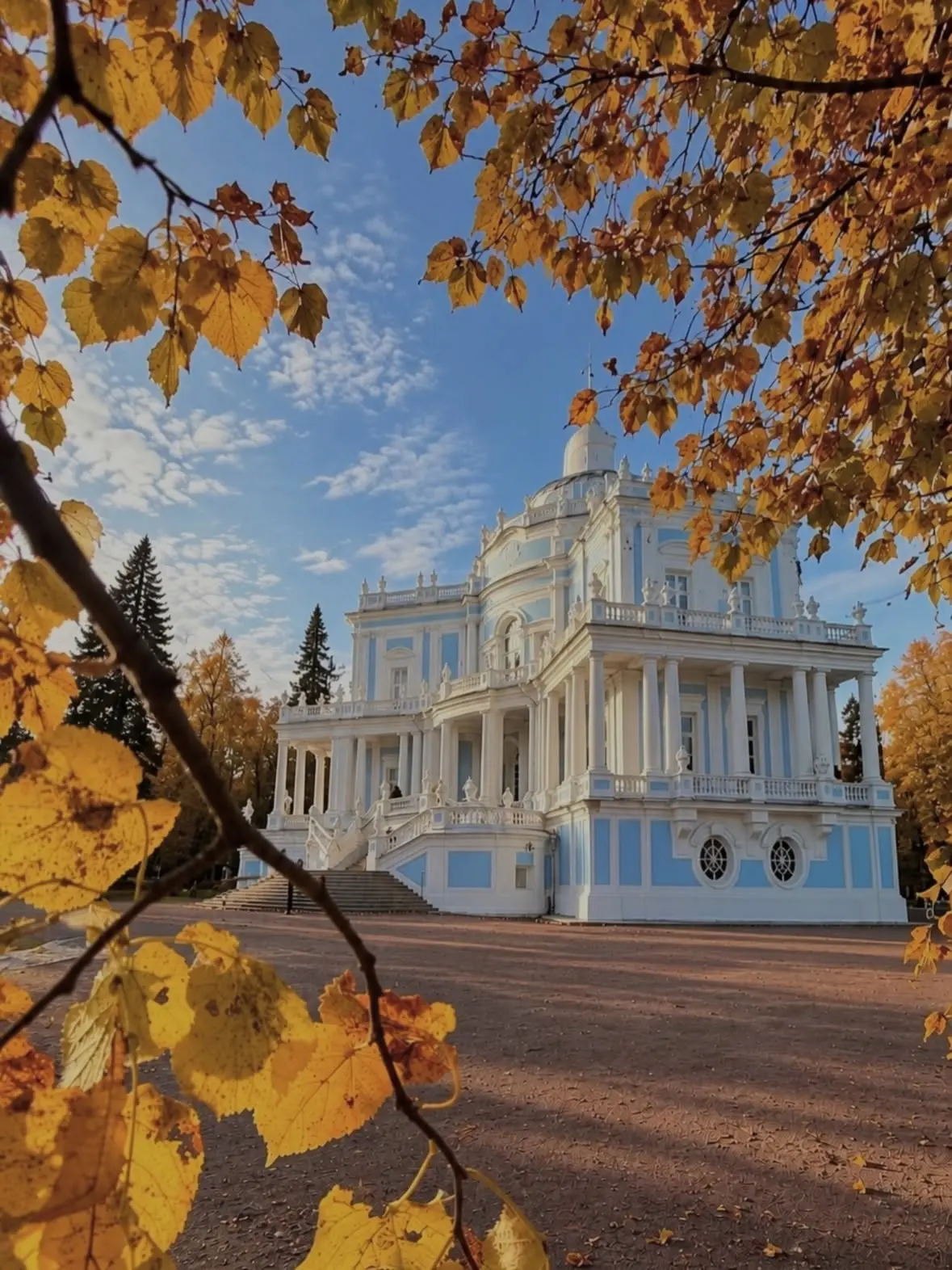 🍁 Золотая осень в Ораниенбауме.