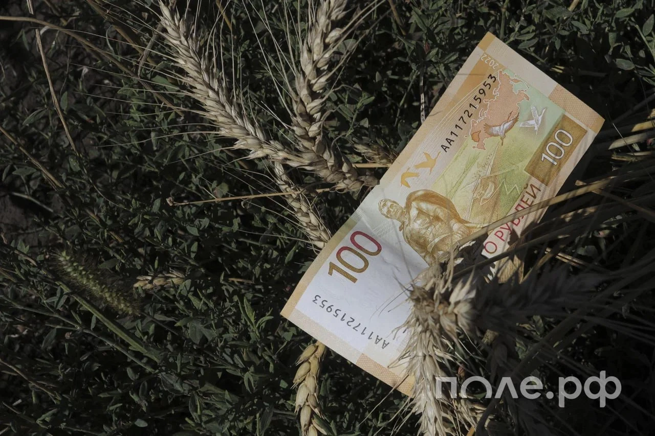 ❗ Просрочка по кредитам в сельском хозяйстве выросла на 8,7% за год – до 68 млрд рублей...