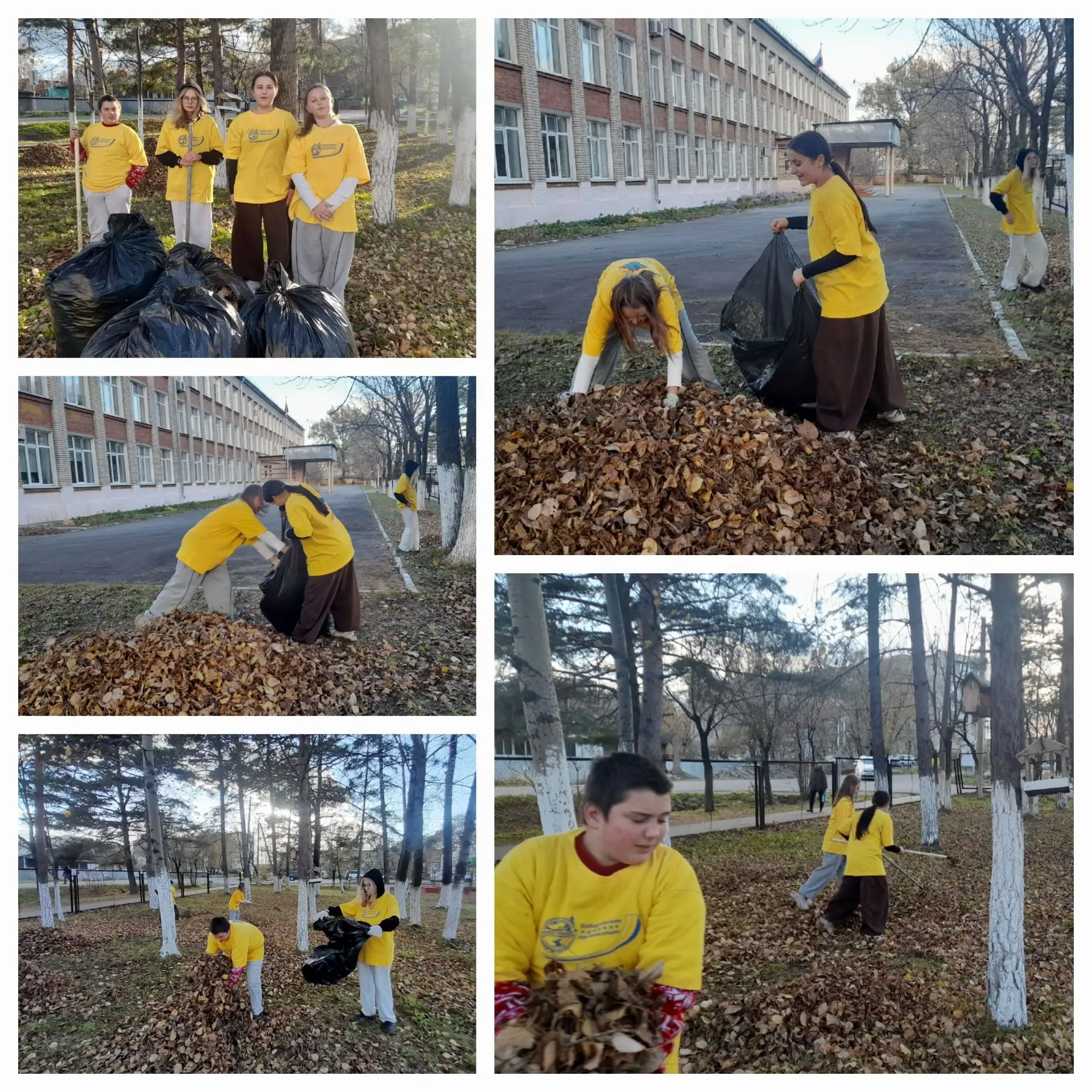 Сегодня  лидеры ДЭОО " Капелька" приняли участие  в трудовом десанте. Ребята убирали су...