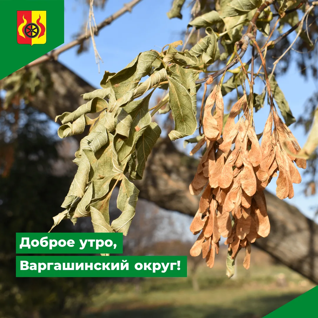 Доброе утро, Варгашинский округ! Температура за окном +7 градусов. Днём ожидается до +15.