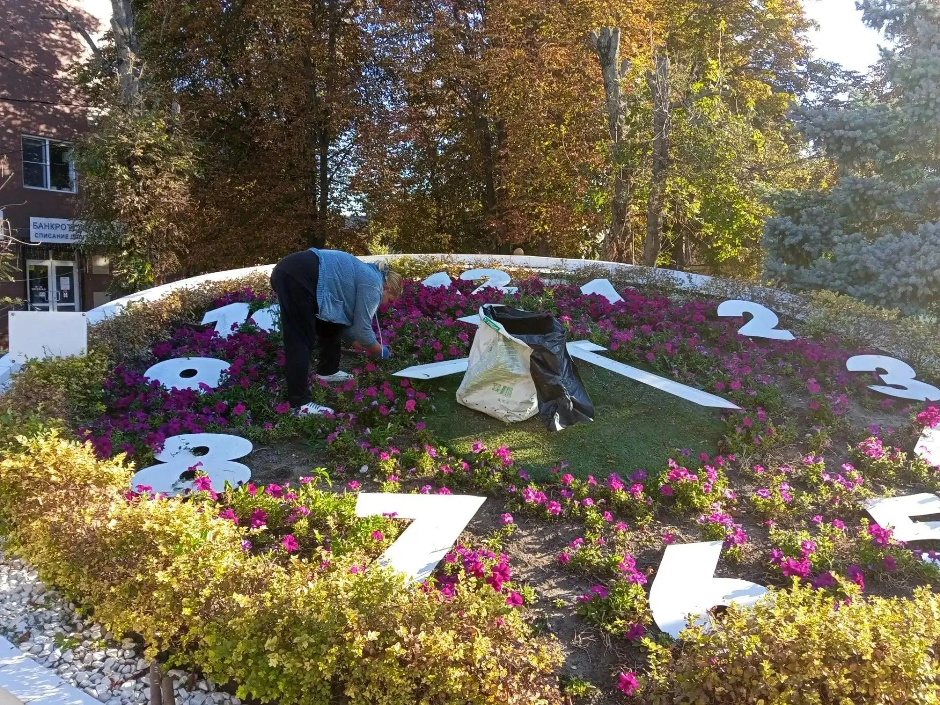 🍂В Кропоткине озеленители наводят красоту на городских клумбах