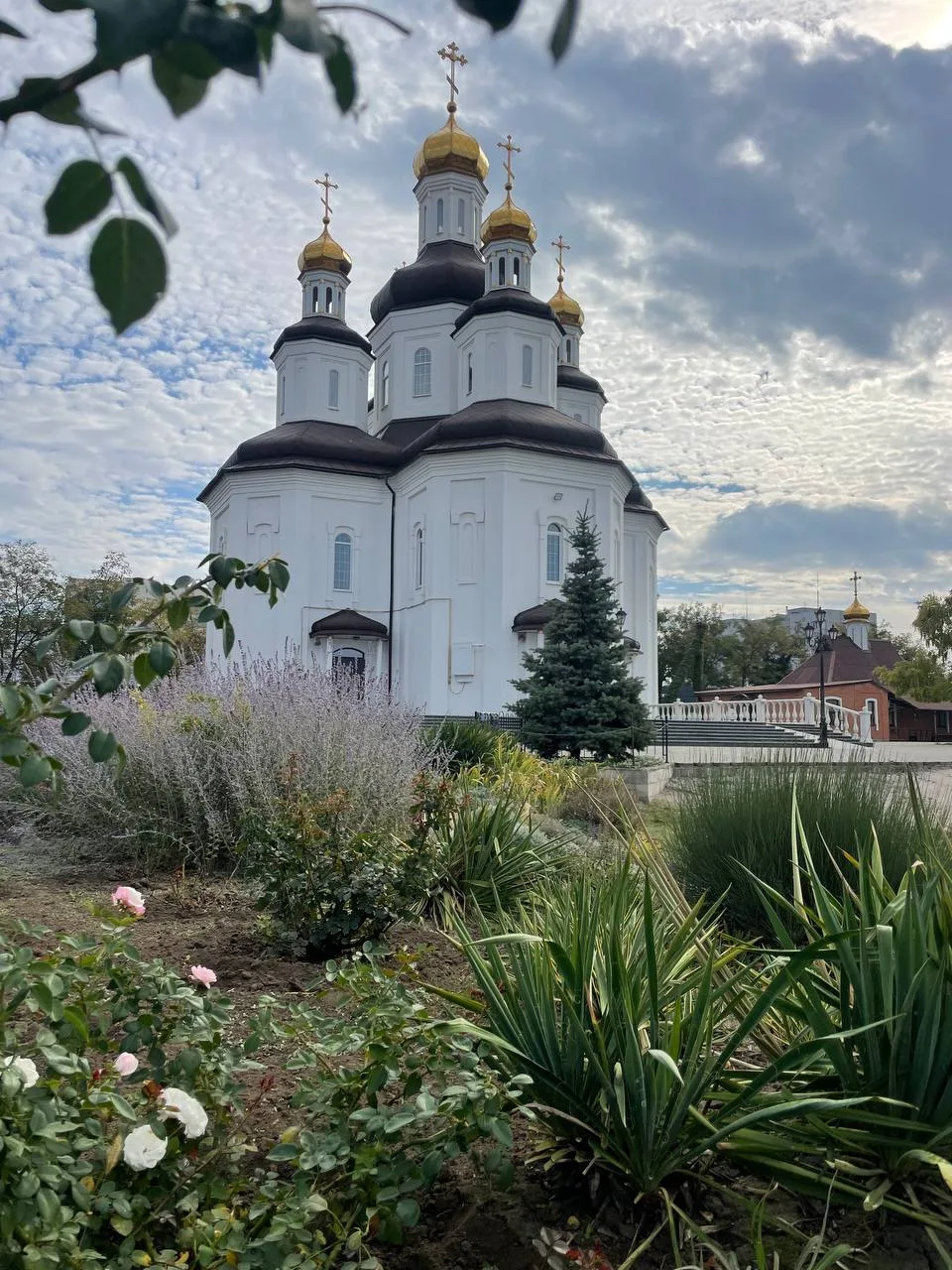 🌞С добрым утром Мариуполь!