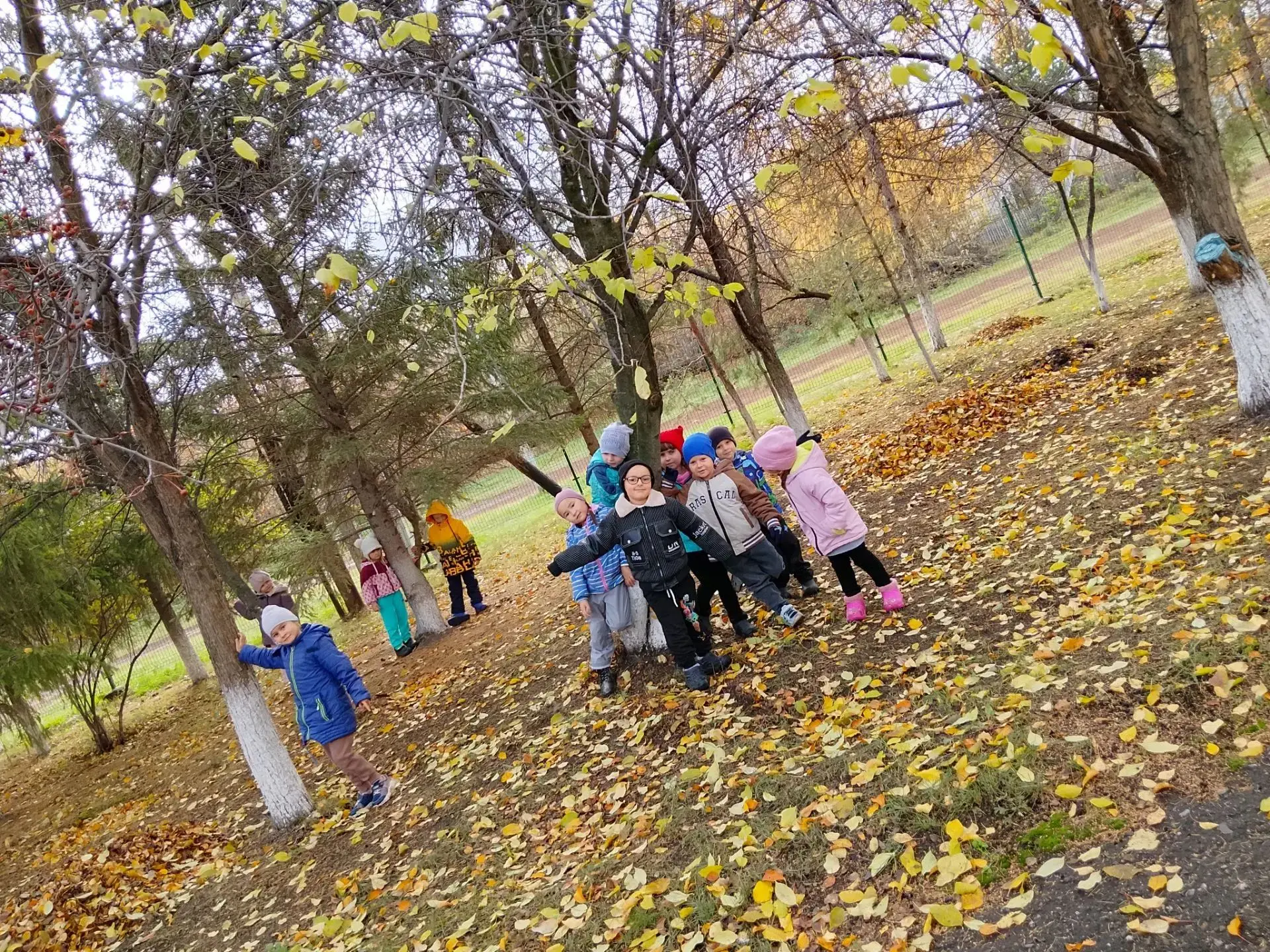 🍂 Эколята на осенней прогулке! 🍂