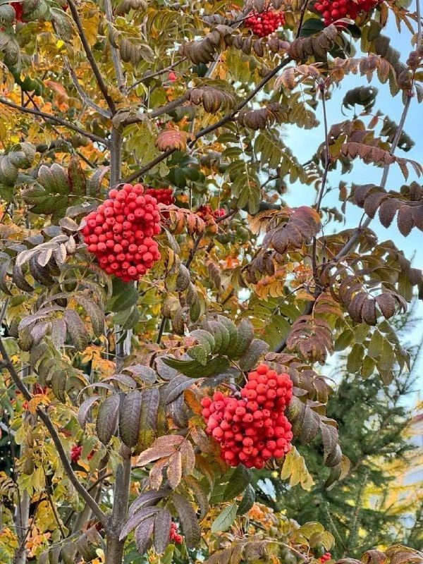🥰 Осенняя Тюмень прекрасна