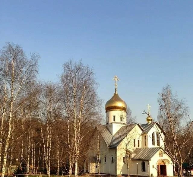 Благословенного дня!⤵️