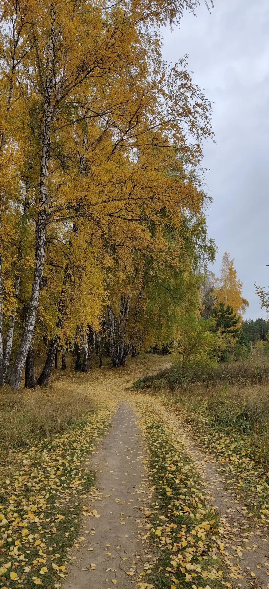 Продолжаем любоваться тихой и красивой осенью от наших подписчиков 😍