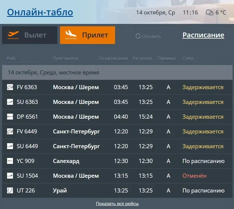 В Тюмени задерживаются рейсы в Москву