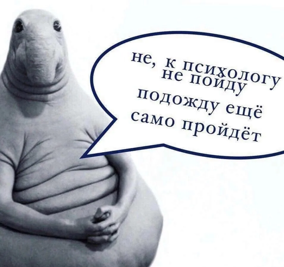 «Зачем мне психолог? Я и так всё понимаю»