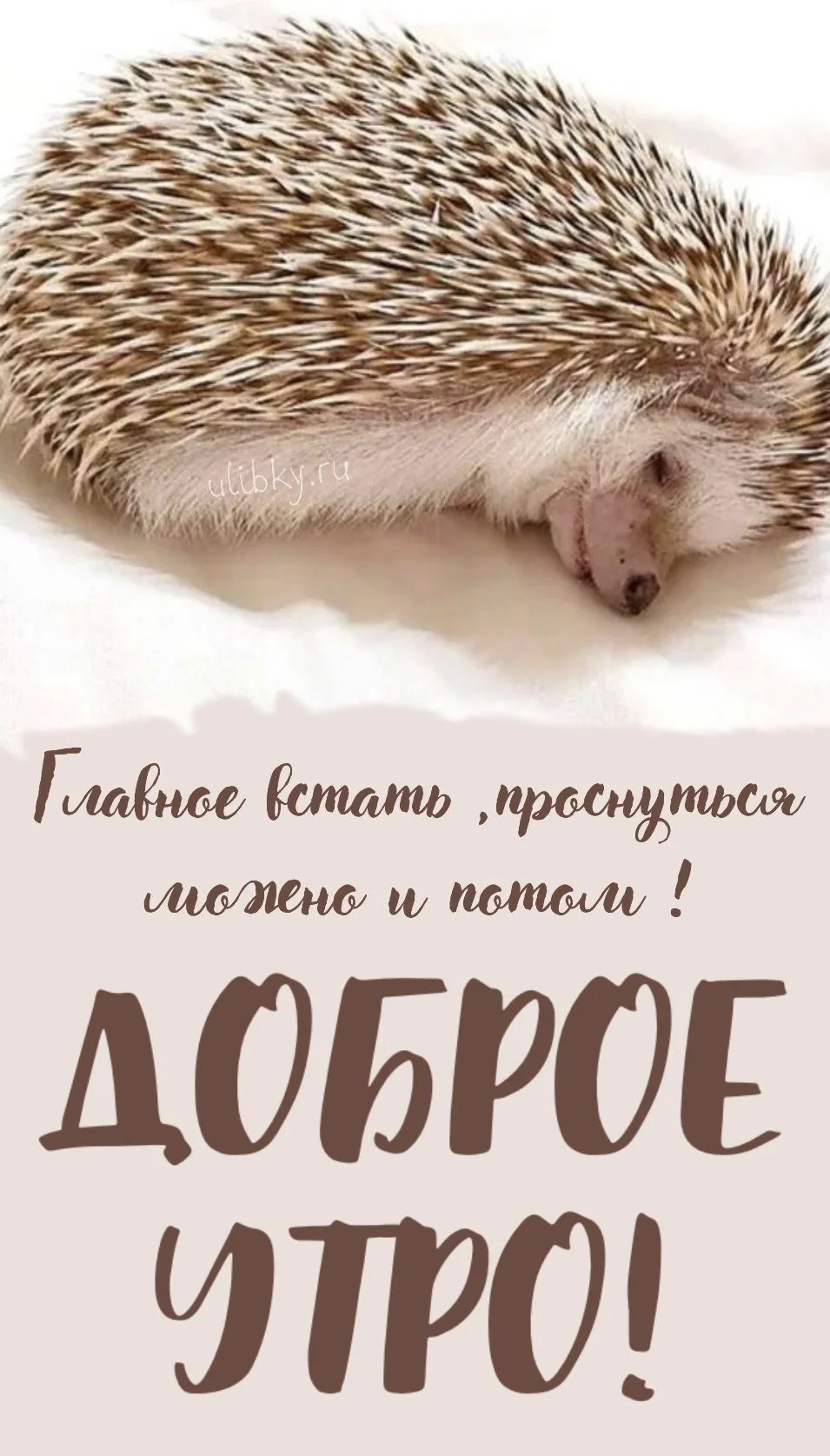 Кто уже выпил кофе — ставьте ❤️. Кто ещё не проснулся — держите виртуальное объятие. До...