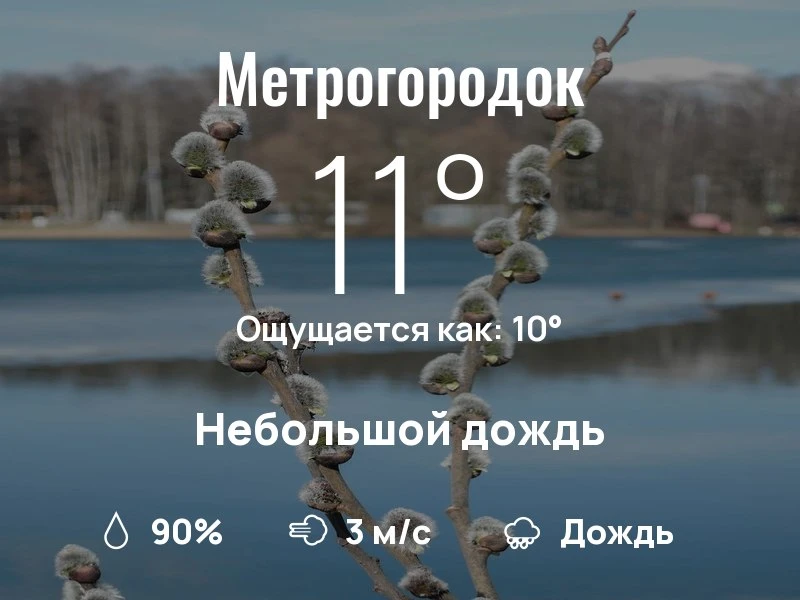 Что с погодой в Метрогородке?