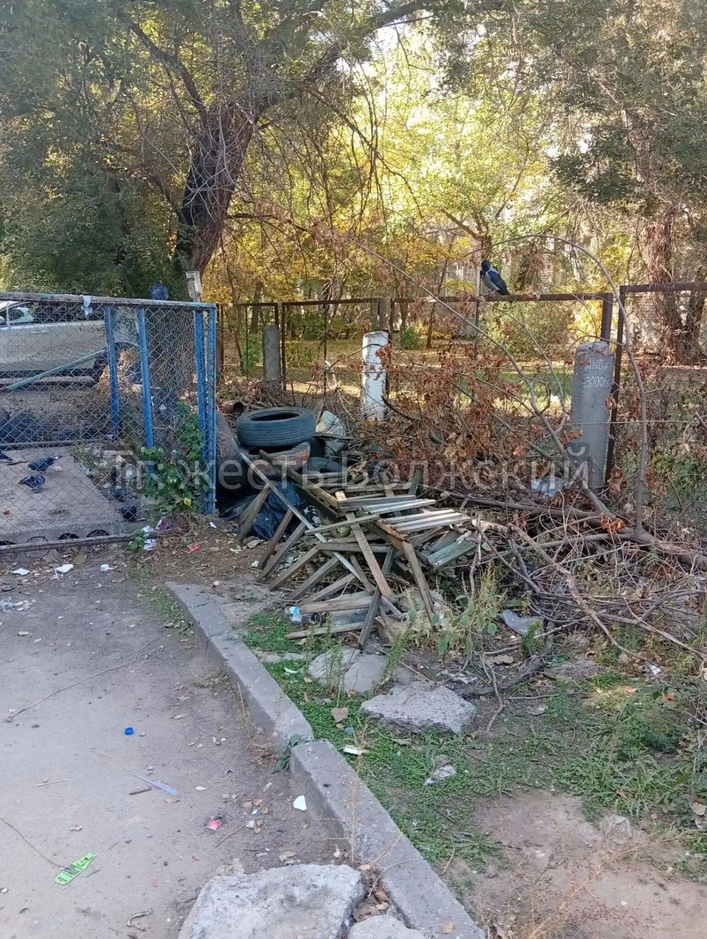 👀Пионерский костёр на площади Труда, 7 ждет своего часа 🔥