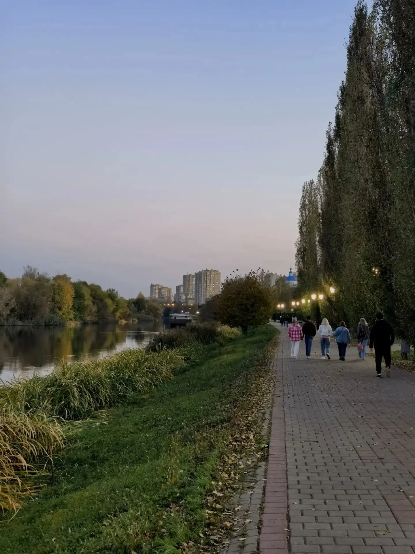 🔺Главное в ТОПе за 14 октября: