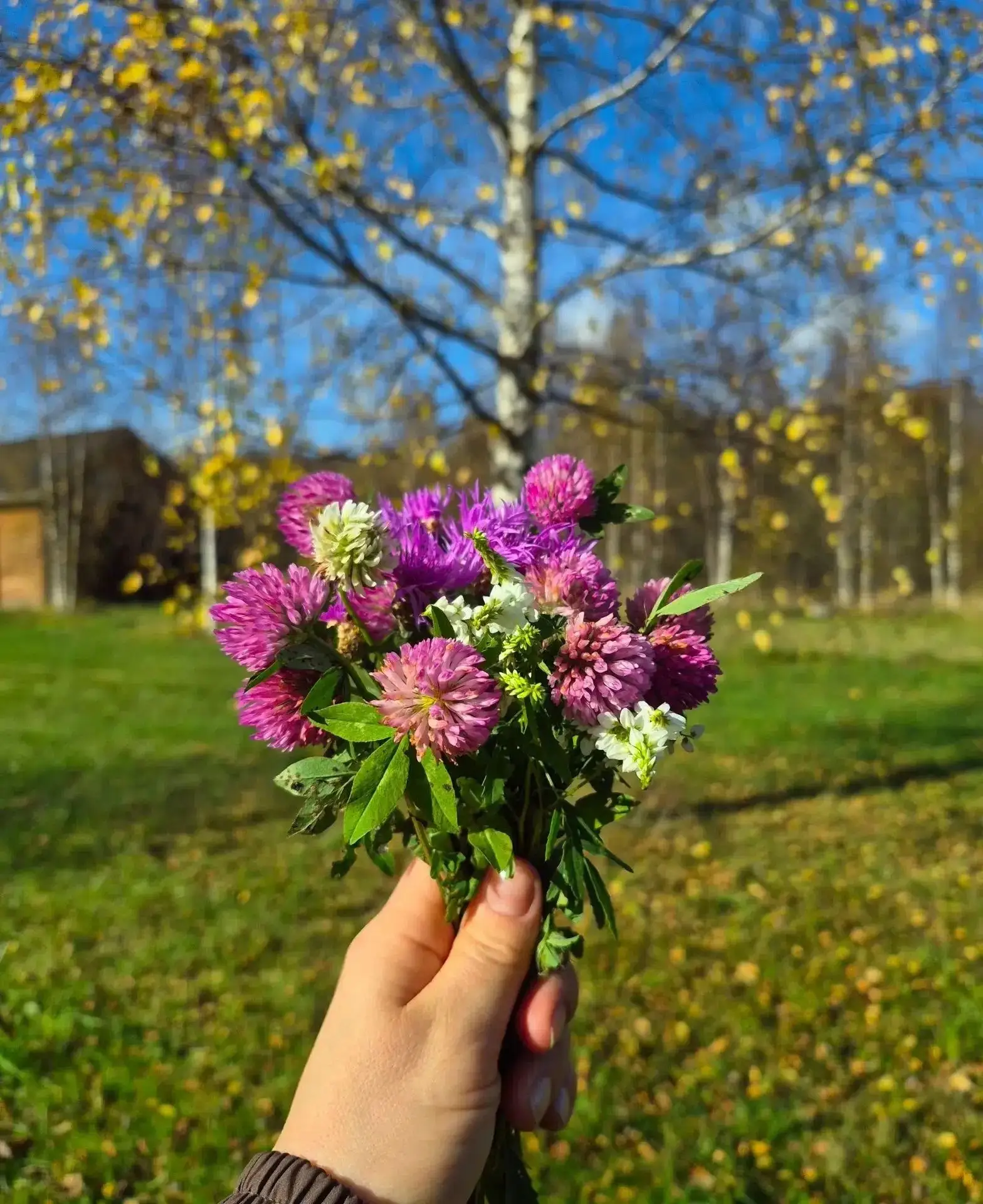 Доброе субботнее 🥰
