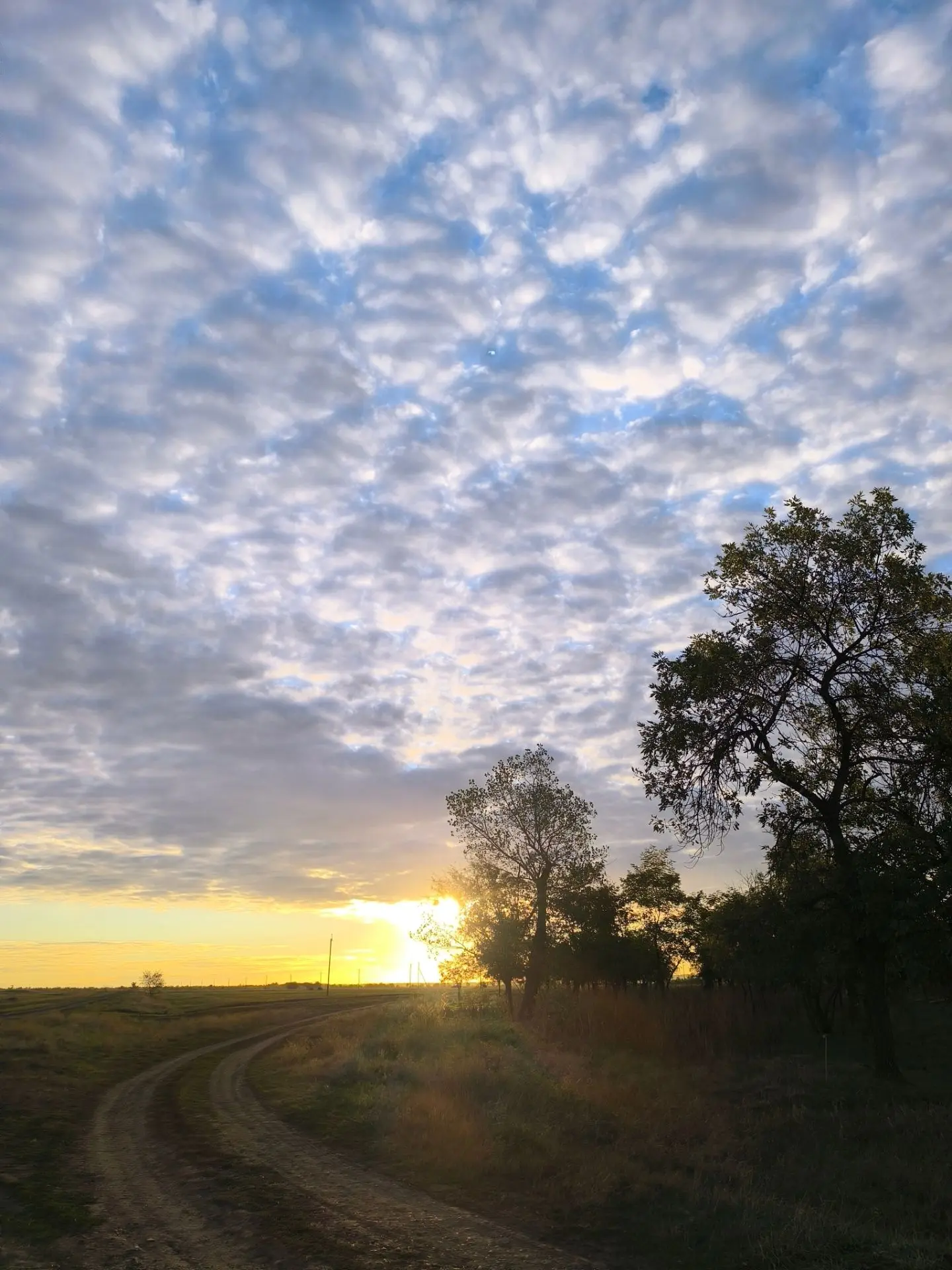 Доброе утро ☀️