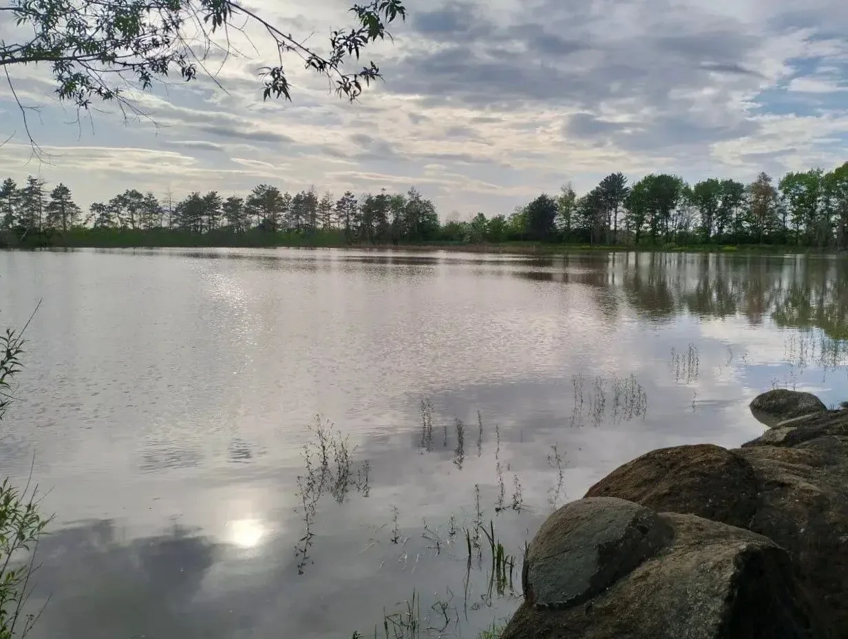 🌲 Парк им. Букреева П. В, посёлок Гончарка