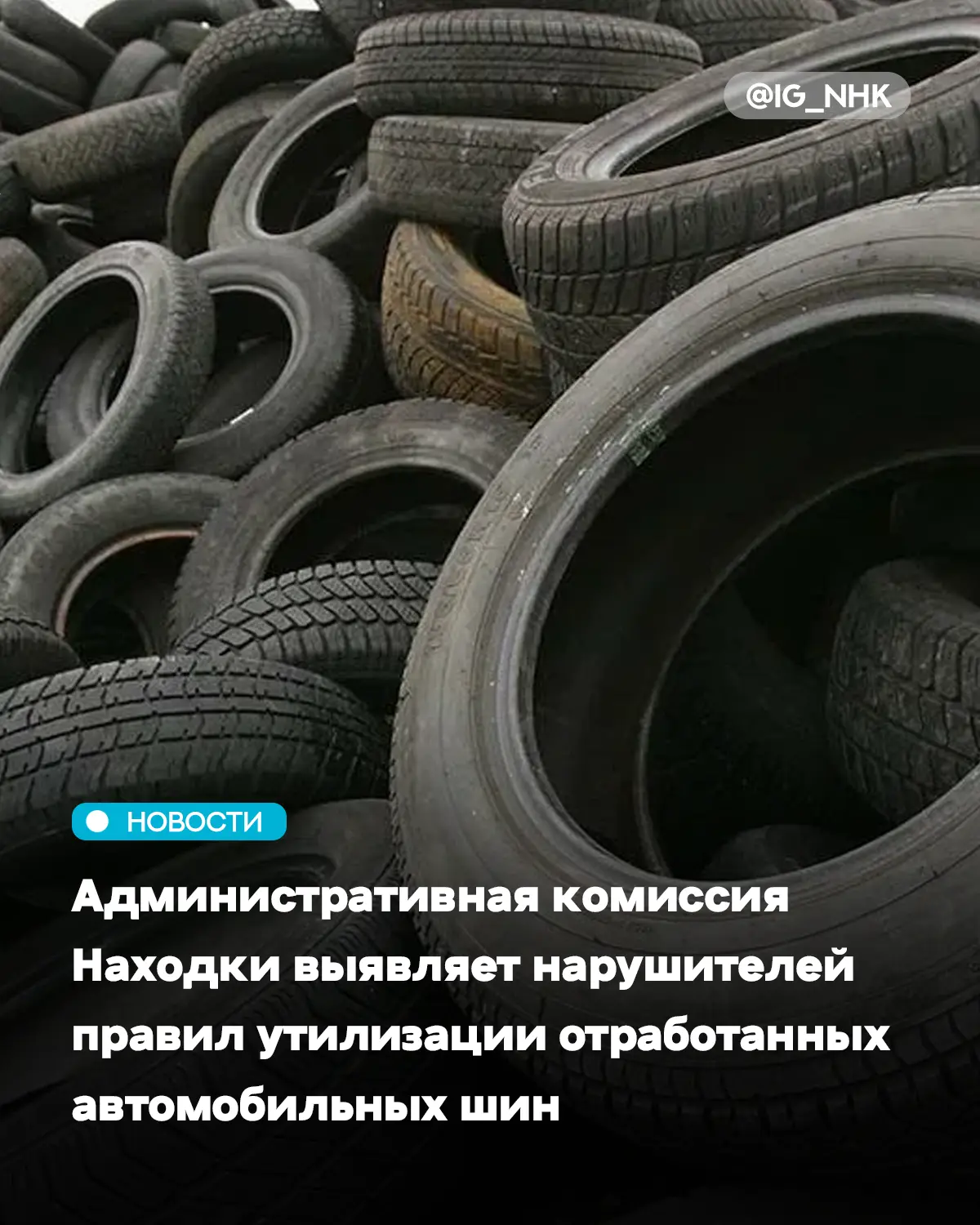 В ходе рейдов сотрудники комиссии проводят профилактические беседы с владельцами и рабо...