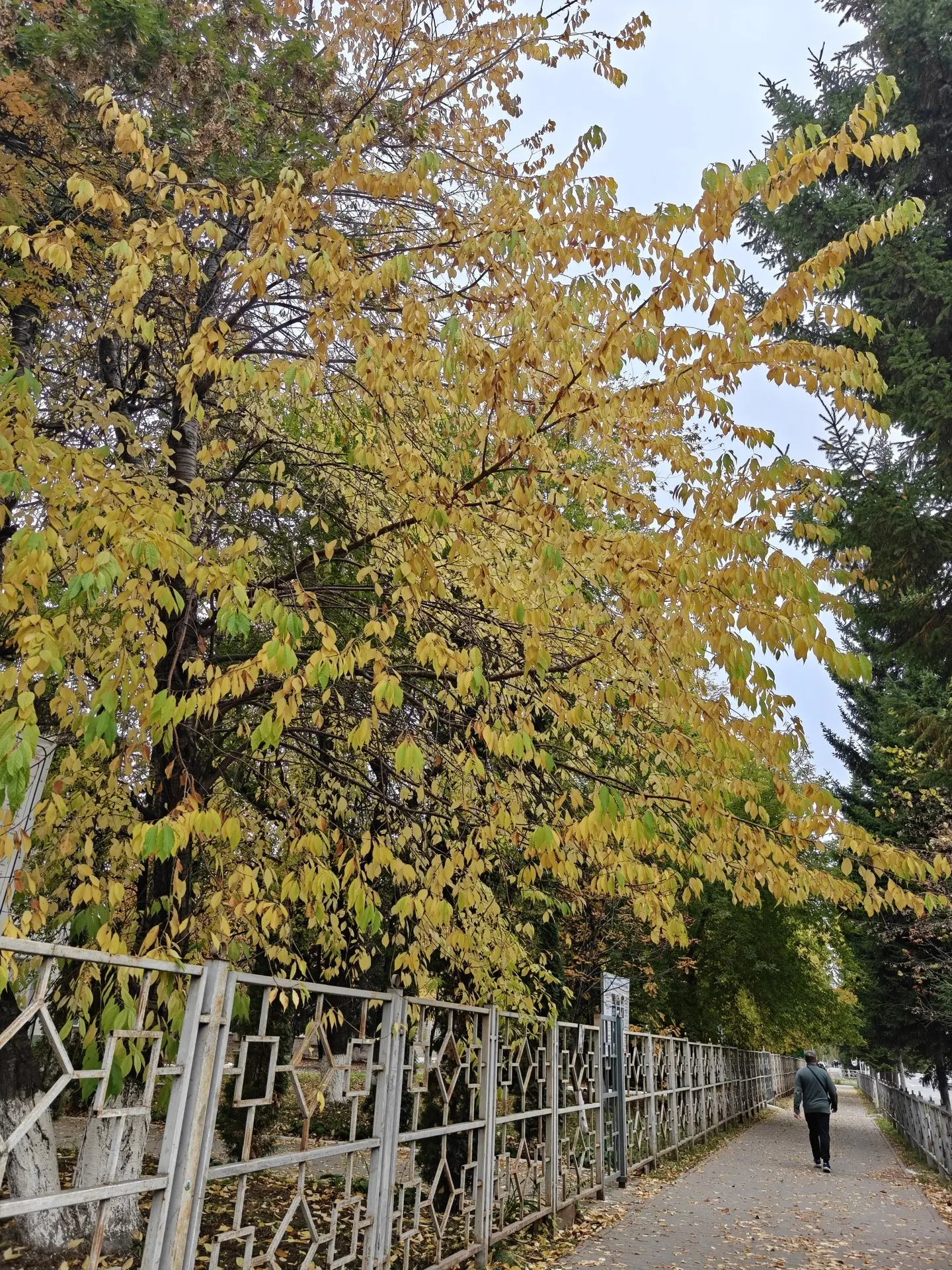 Прогулялись вместе с нашей подписчицей по осеннему городу 😍🍂