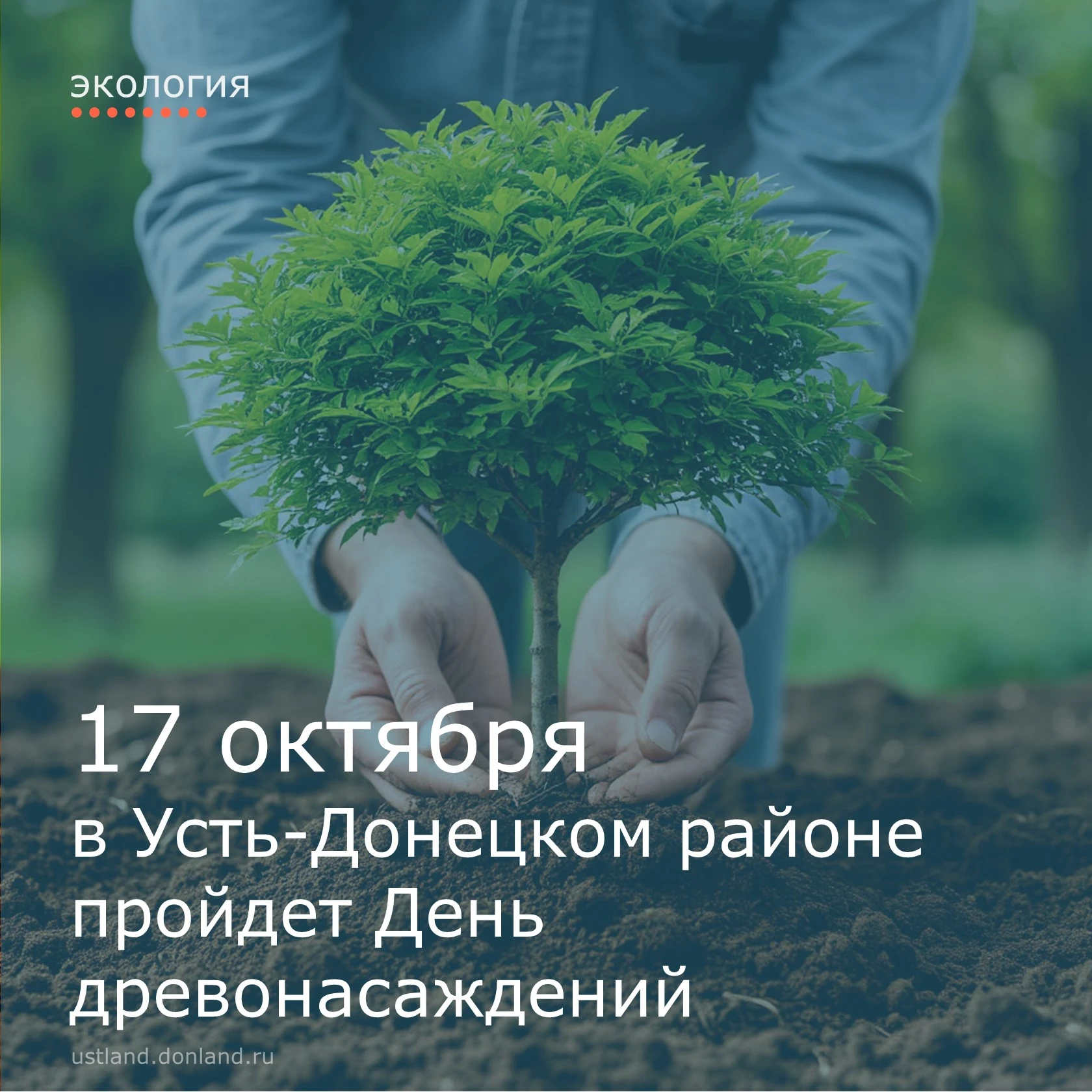 17 октября в Усть-Донецком районе пройдет День древонасаждений.