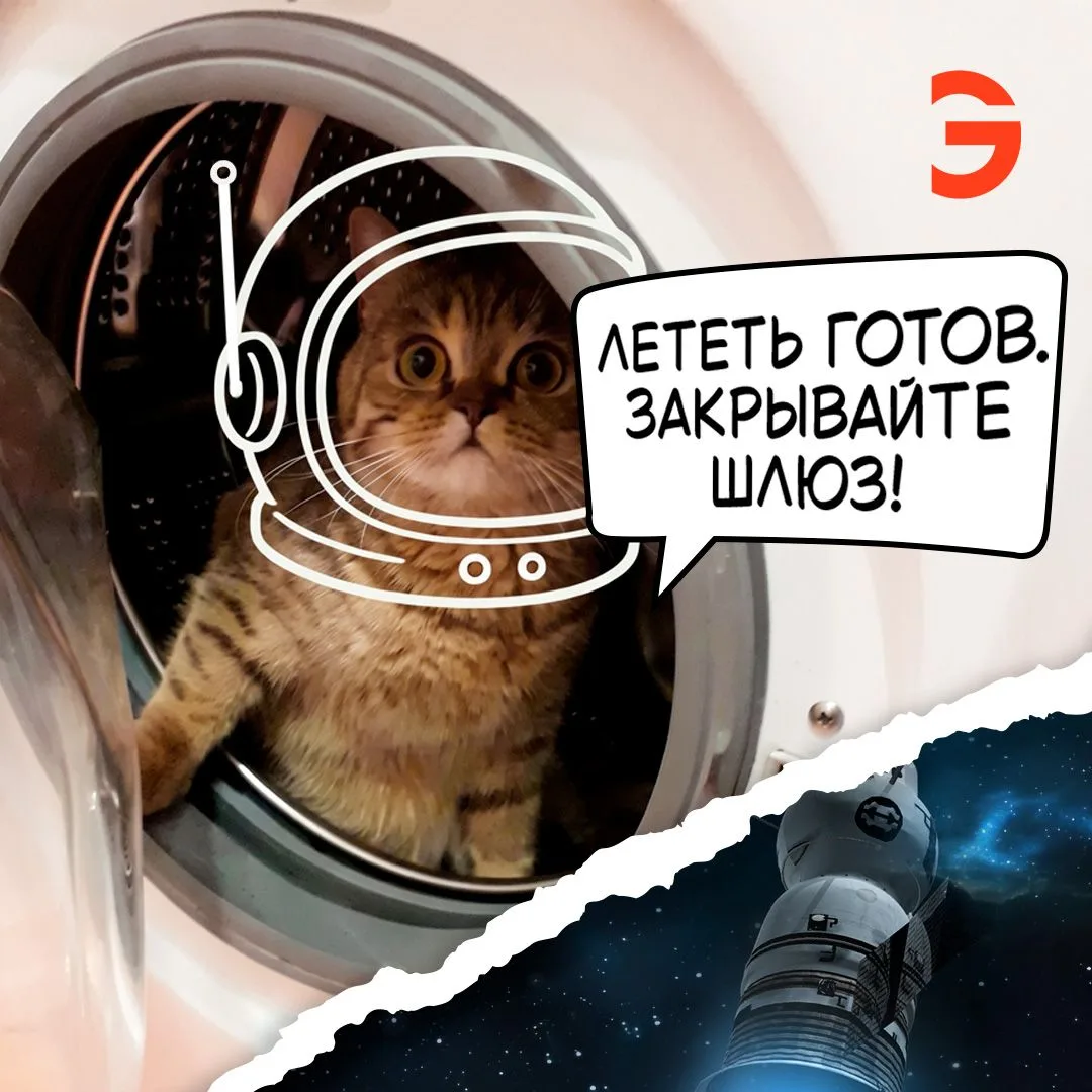 Космос ждет. Лапы уже на пульте управления 🐾✨